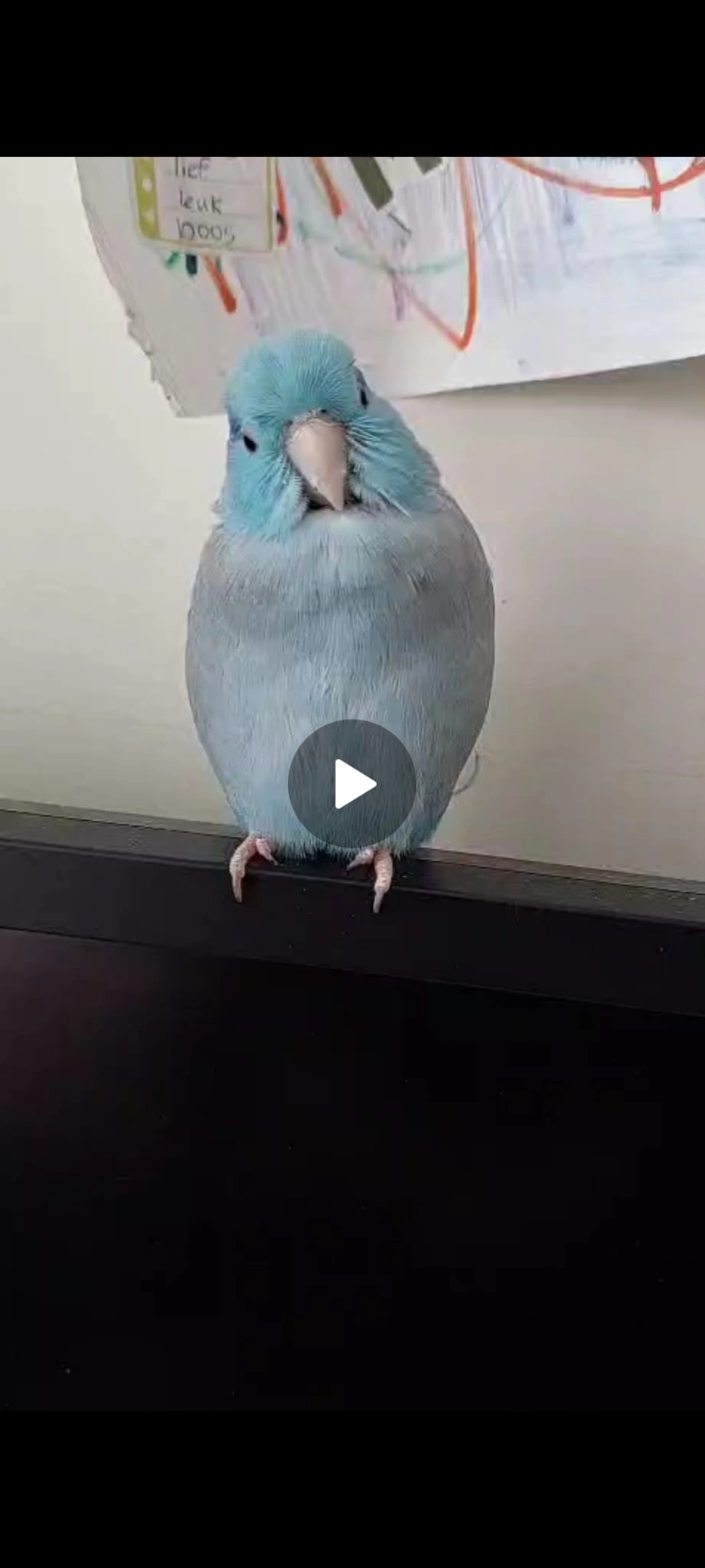 Djanga - Botteskerksingel, Amsterdam