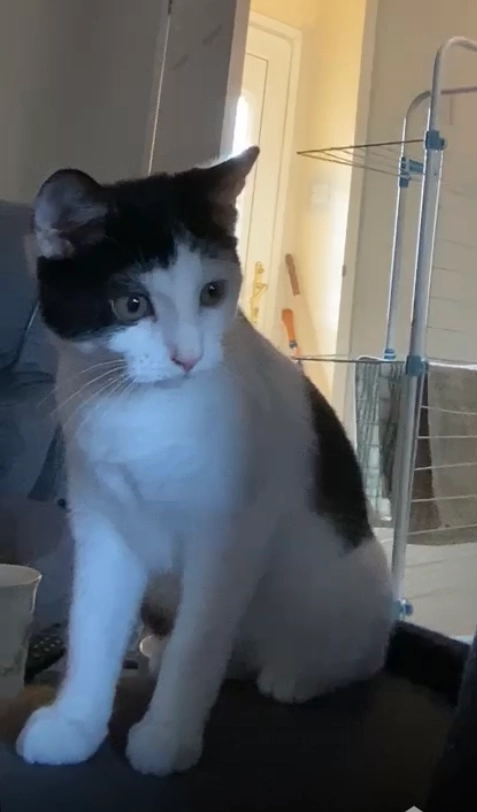 Bella - Keble Close, Aylesbury