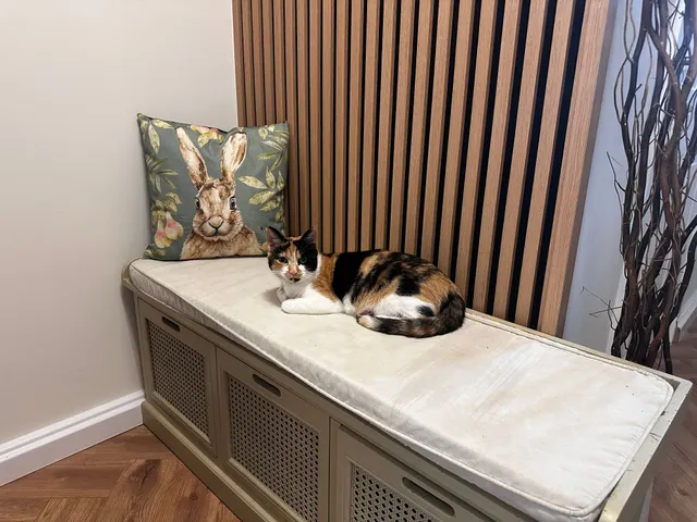 Maggie-Mae - DY10 2, Kidderminster