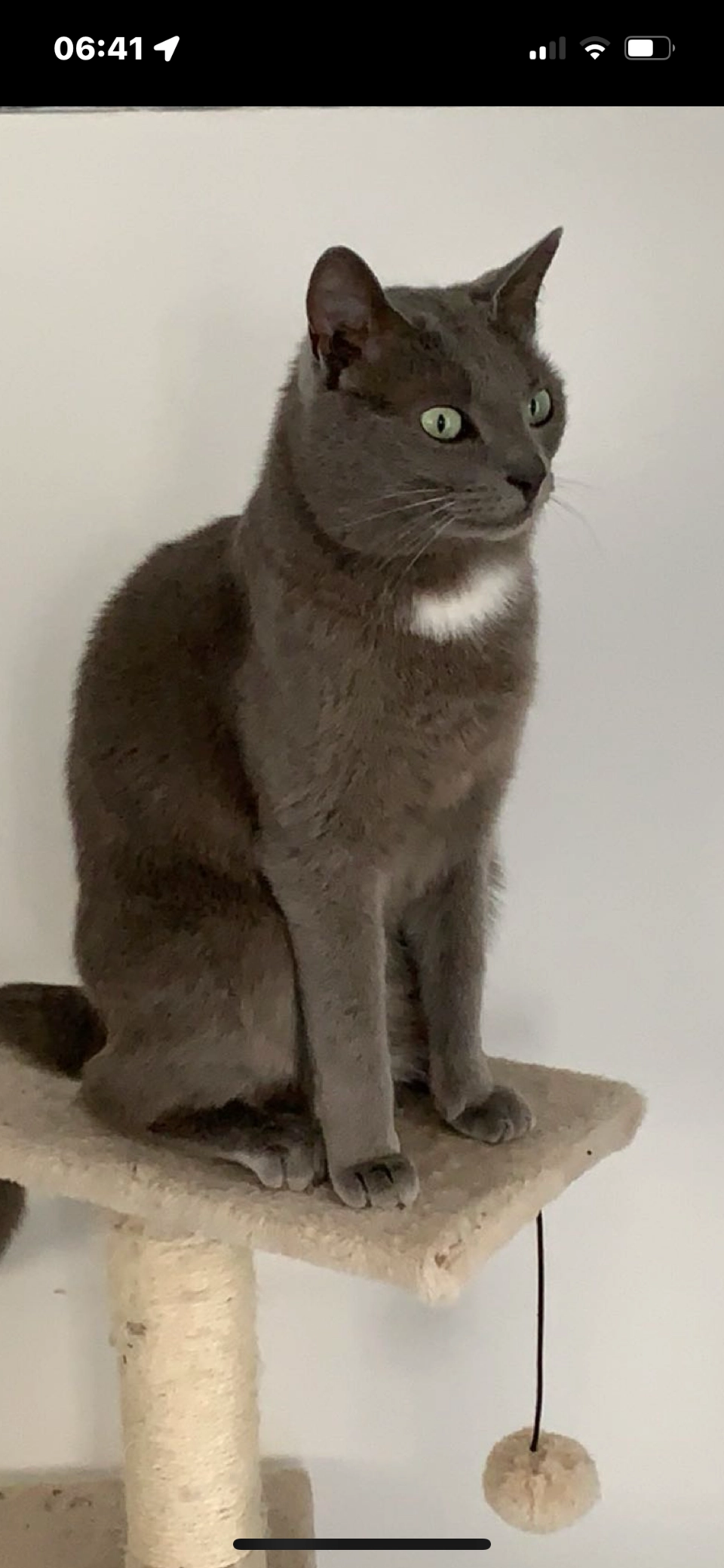 Rafale  - Rue Haptouté, Commercy