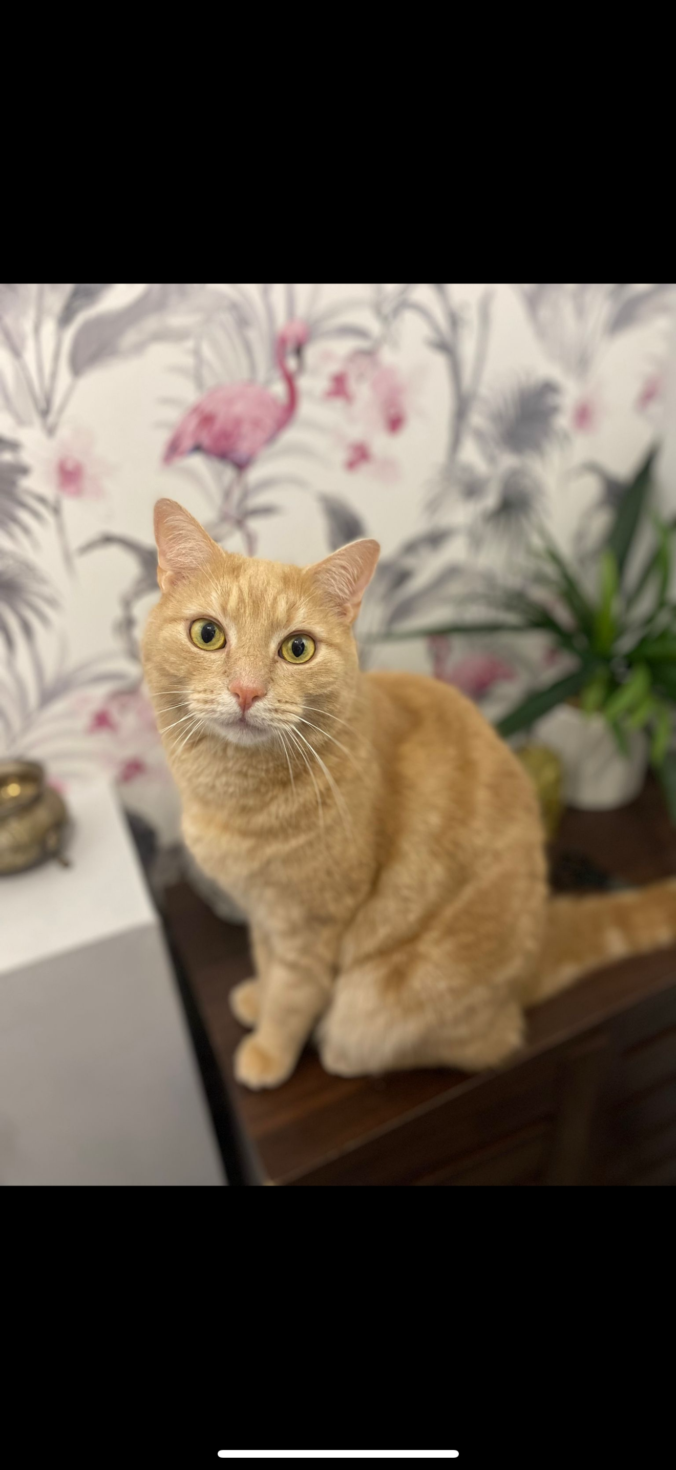 Mathers - Legion close, Chester