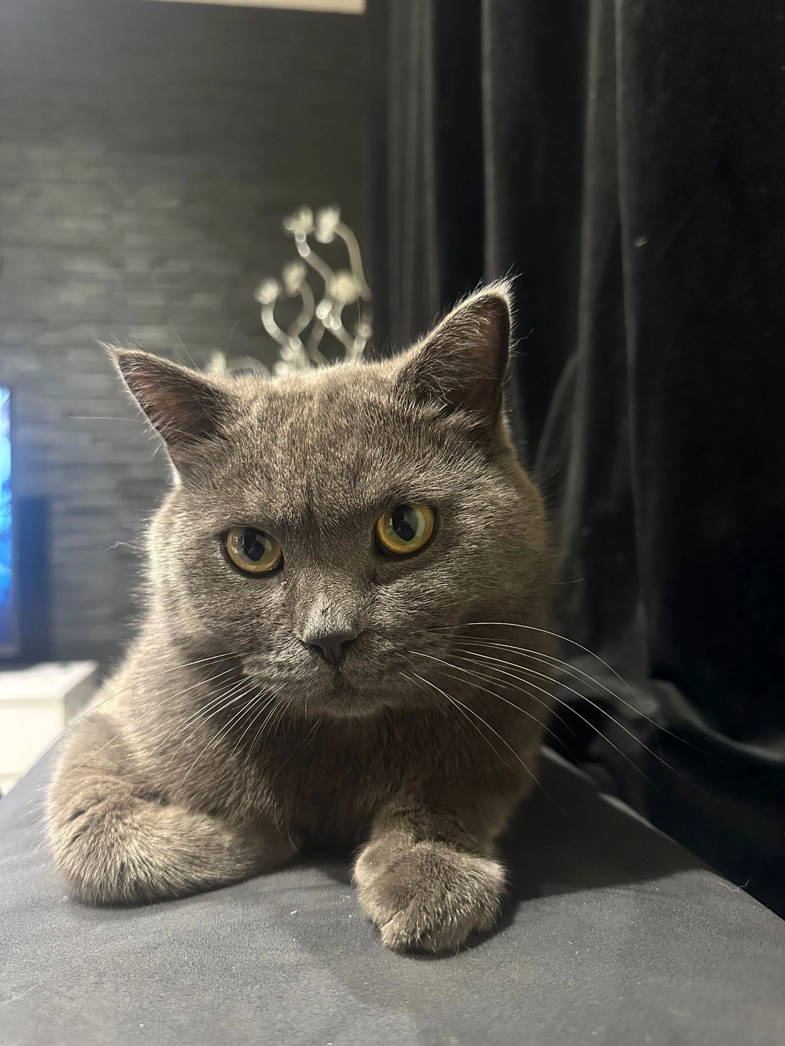 Prince  - Route du 8 Mai, Étrembières