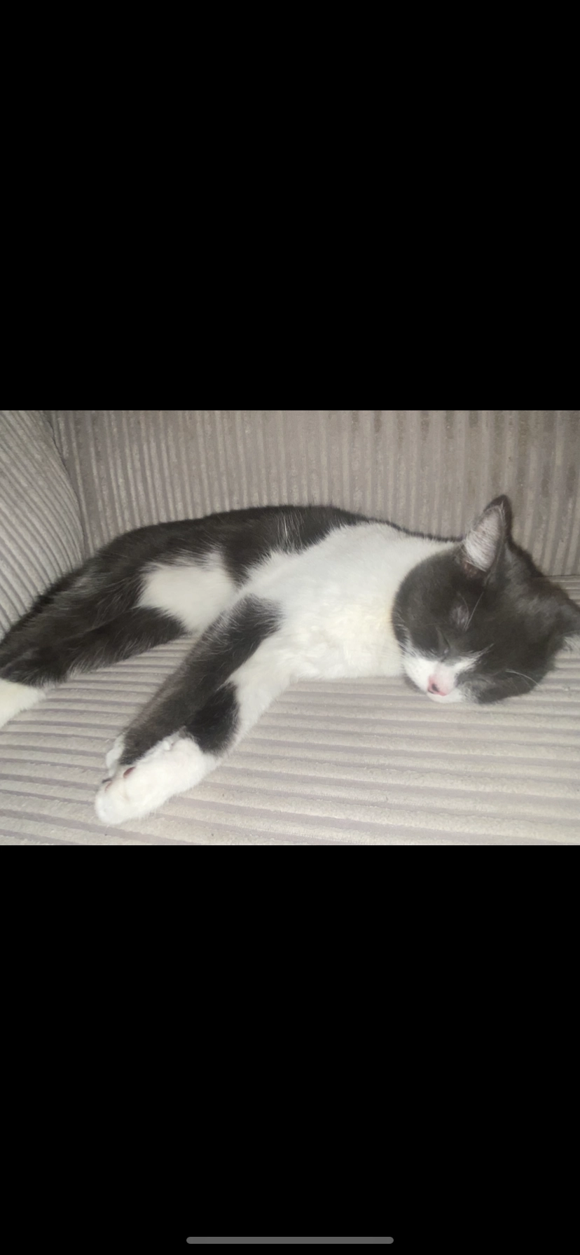 Tallulah - Vimy Road, Leighton Buzzard