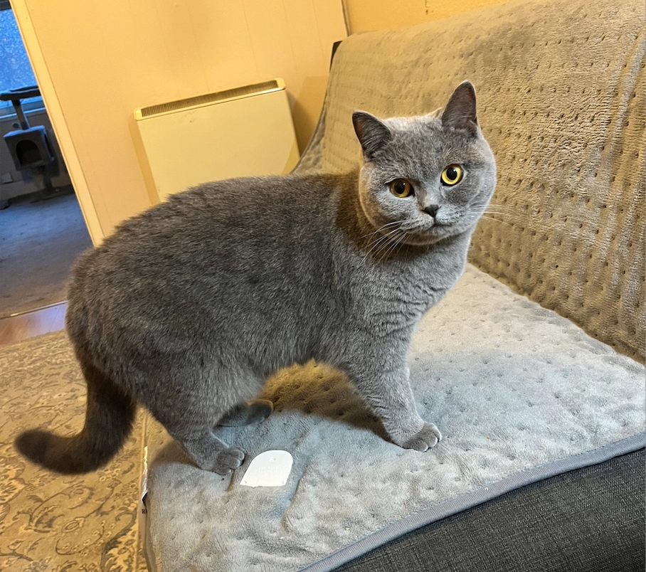 Pepsi - Oakham Road, Leicester