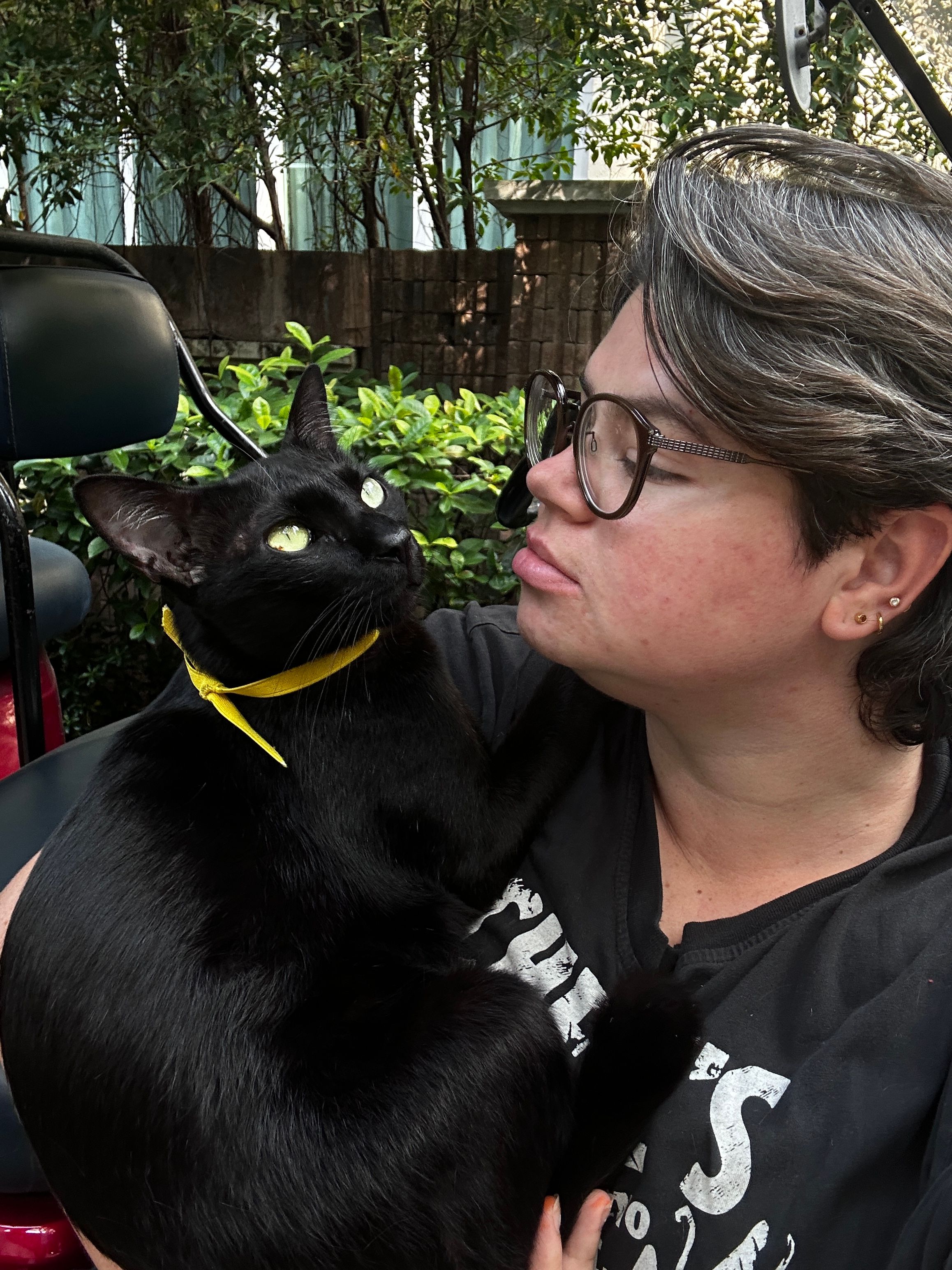 Noodles - ซอยเลี่ยงเมืองปากเกร็ด 41, Pak Kret