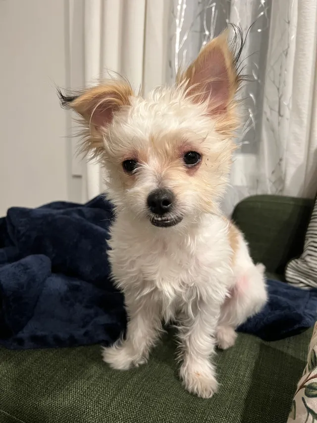 Milo - Irving Street, Jersey City