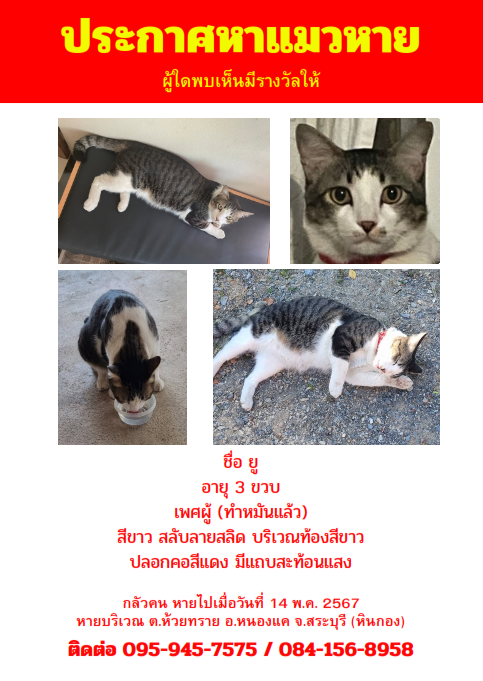 Yuyu - Saraburi 4047 Rural Rd, Ban Mo