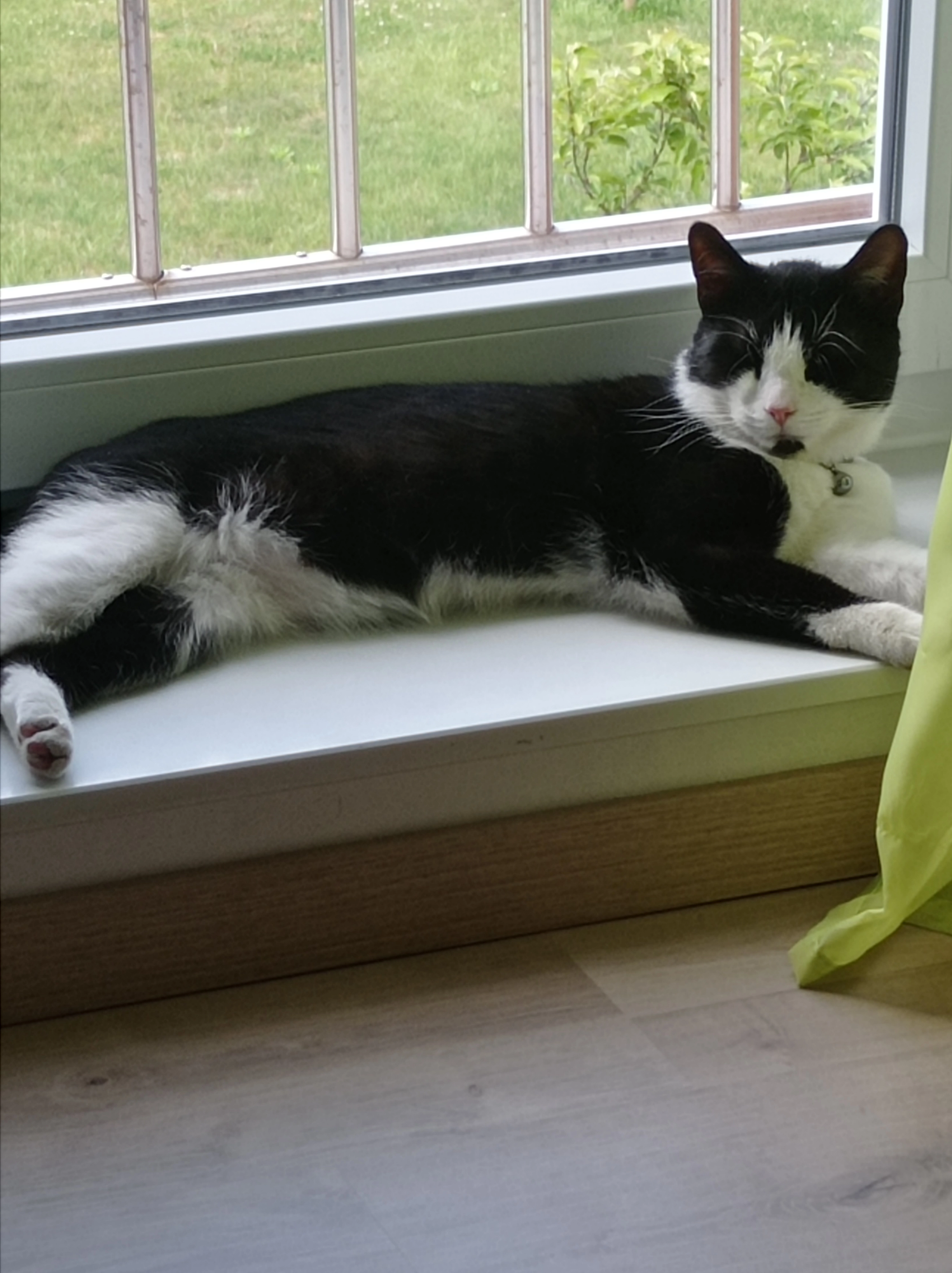 Milo - Hintzendorf-Stellenfelde, Ottersberg