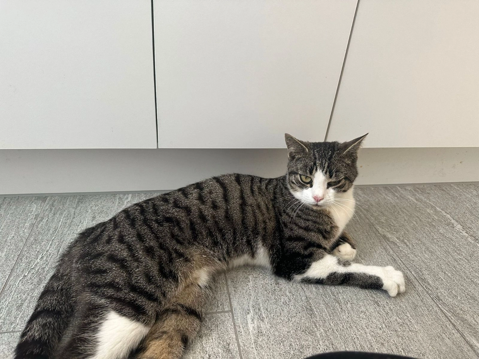 Balu - Dorfstrasse 62A, Schiers