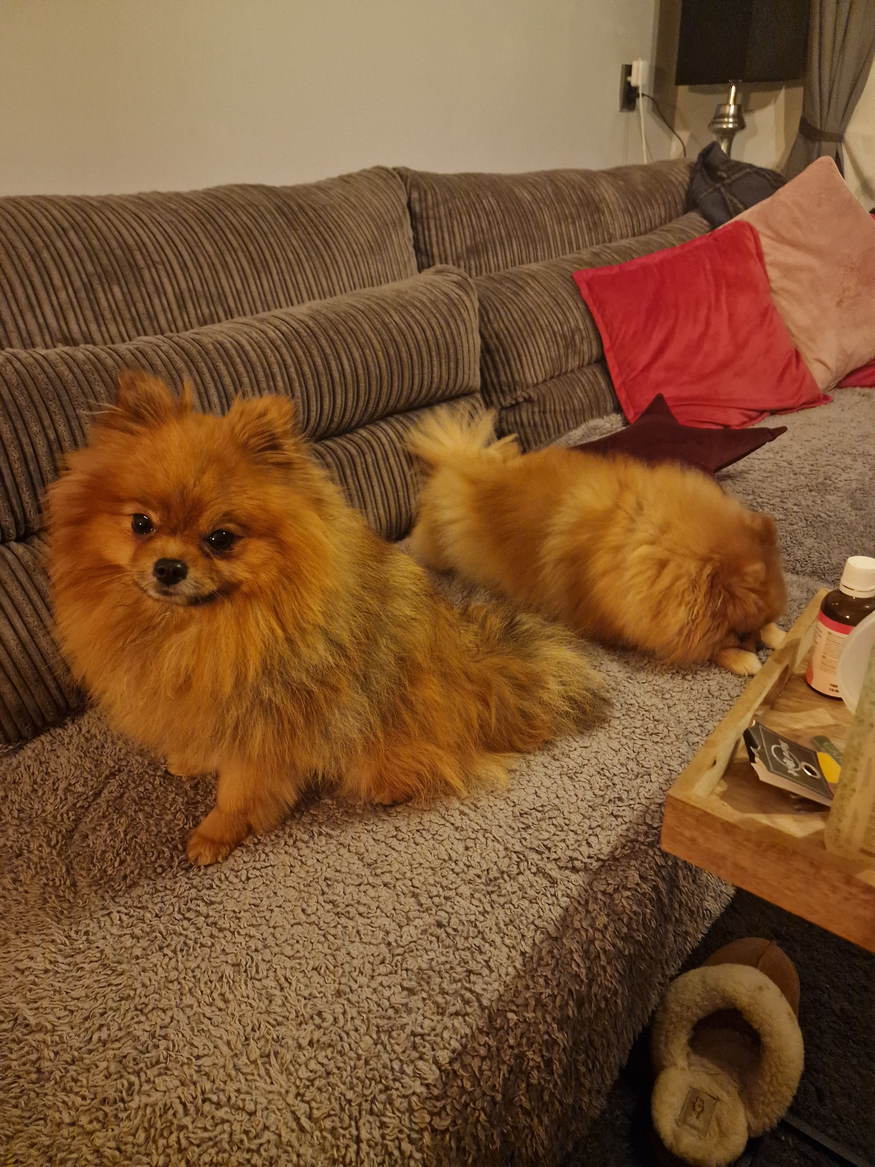 Taigo - R.F. Wijffelsstraat, Waspik