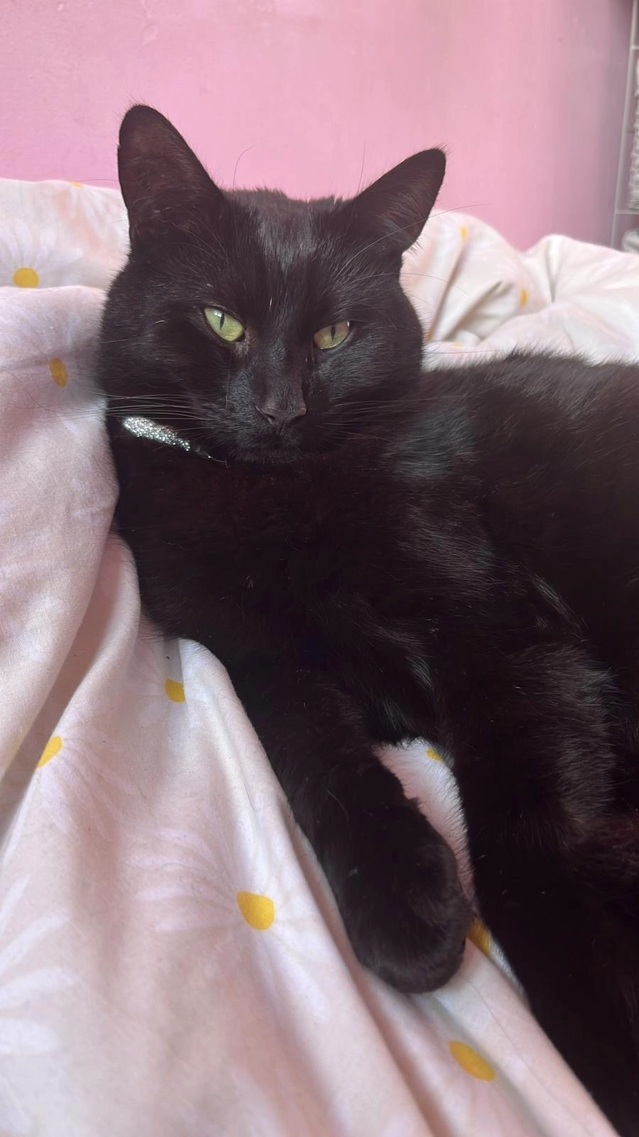 Kai - SK7 2, Stockport