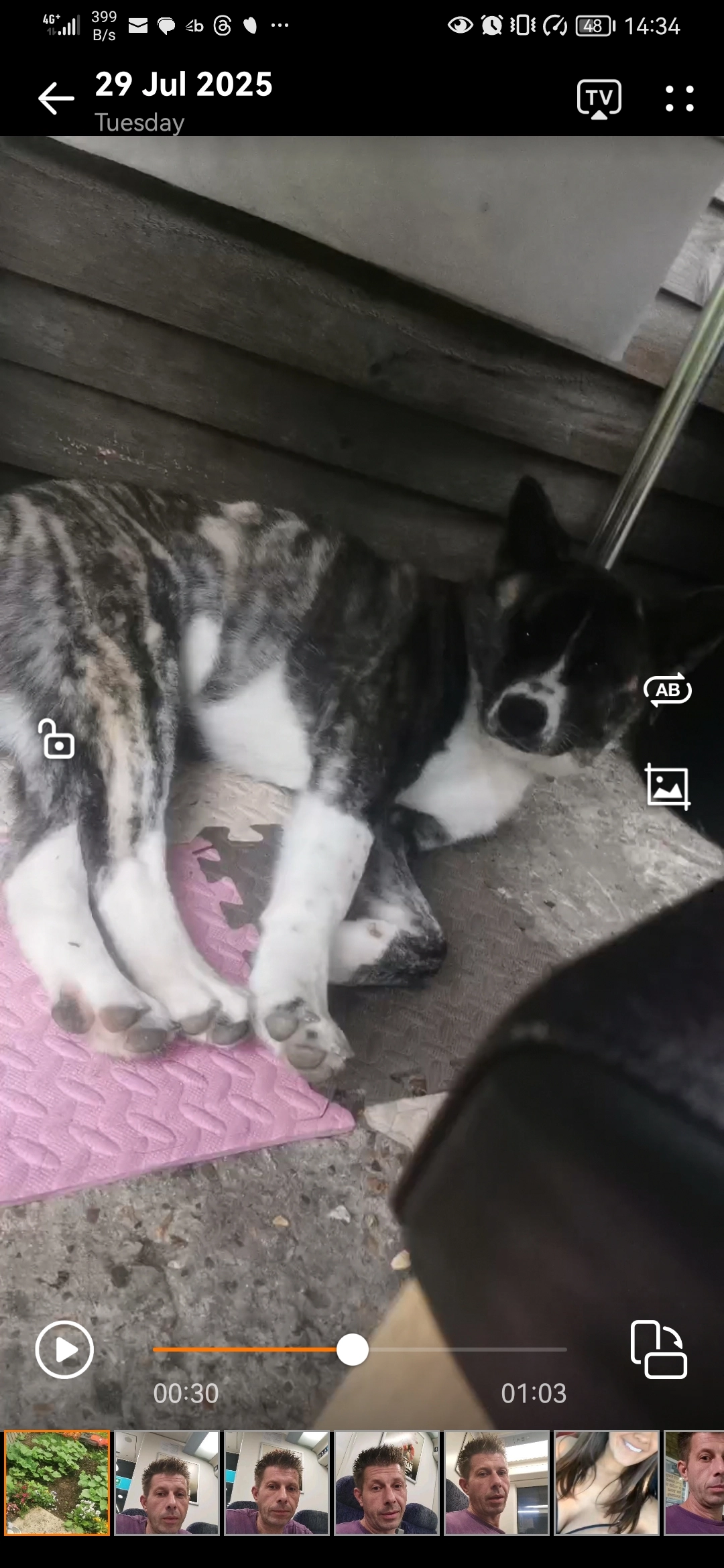 Mocita - Paulhan Road, Harrow