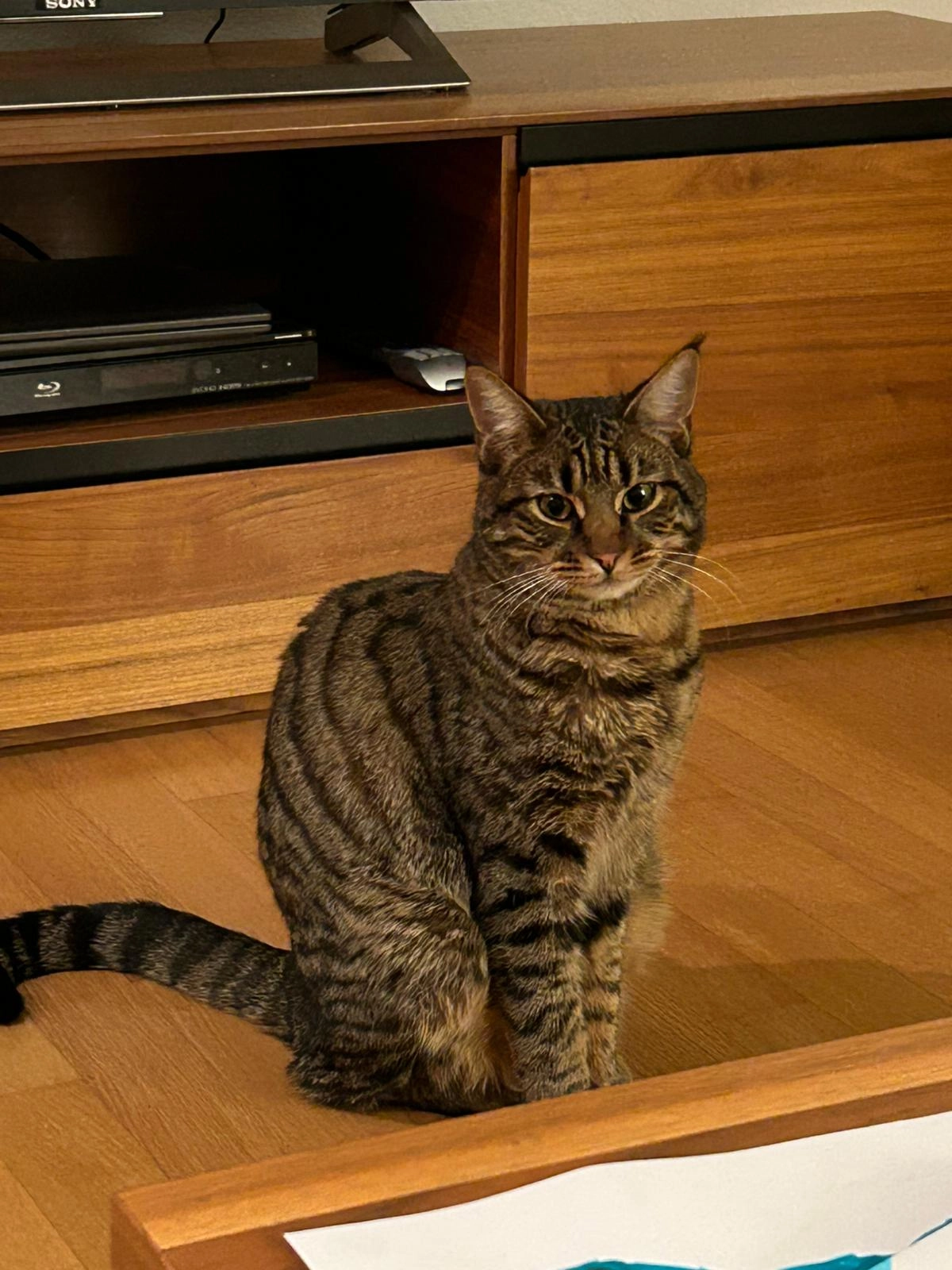 Runa - Reckholderfeldstrasse, Pfungen