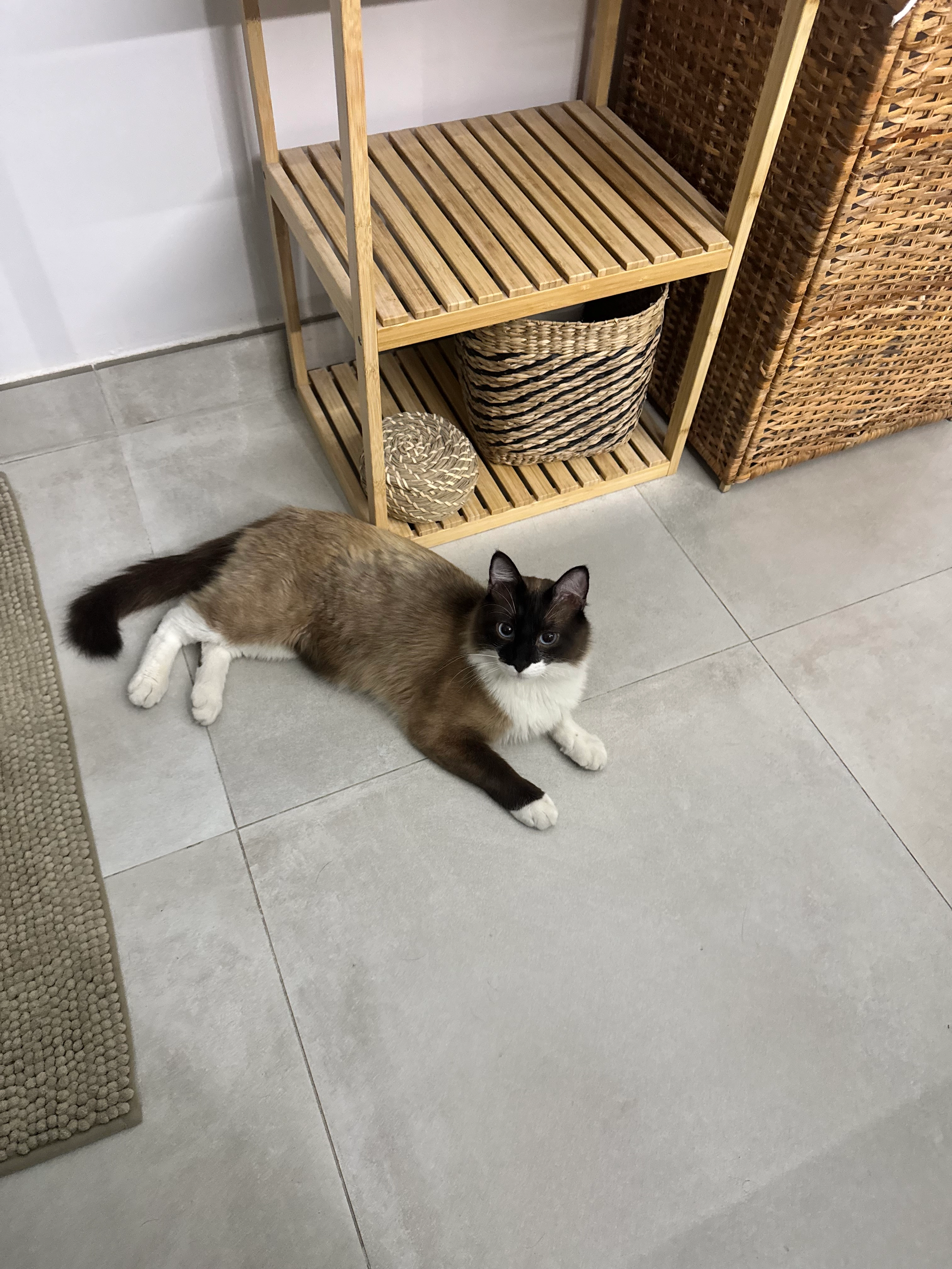 Caballero - Cl Crucero Baleare, Rota