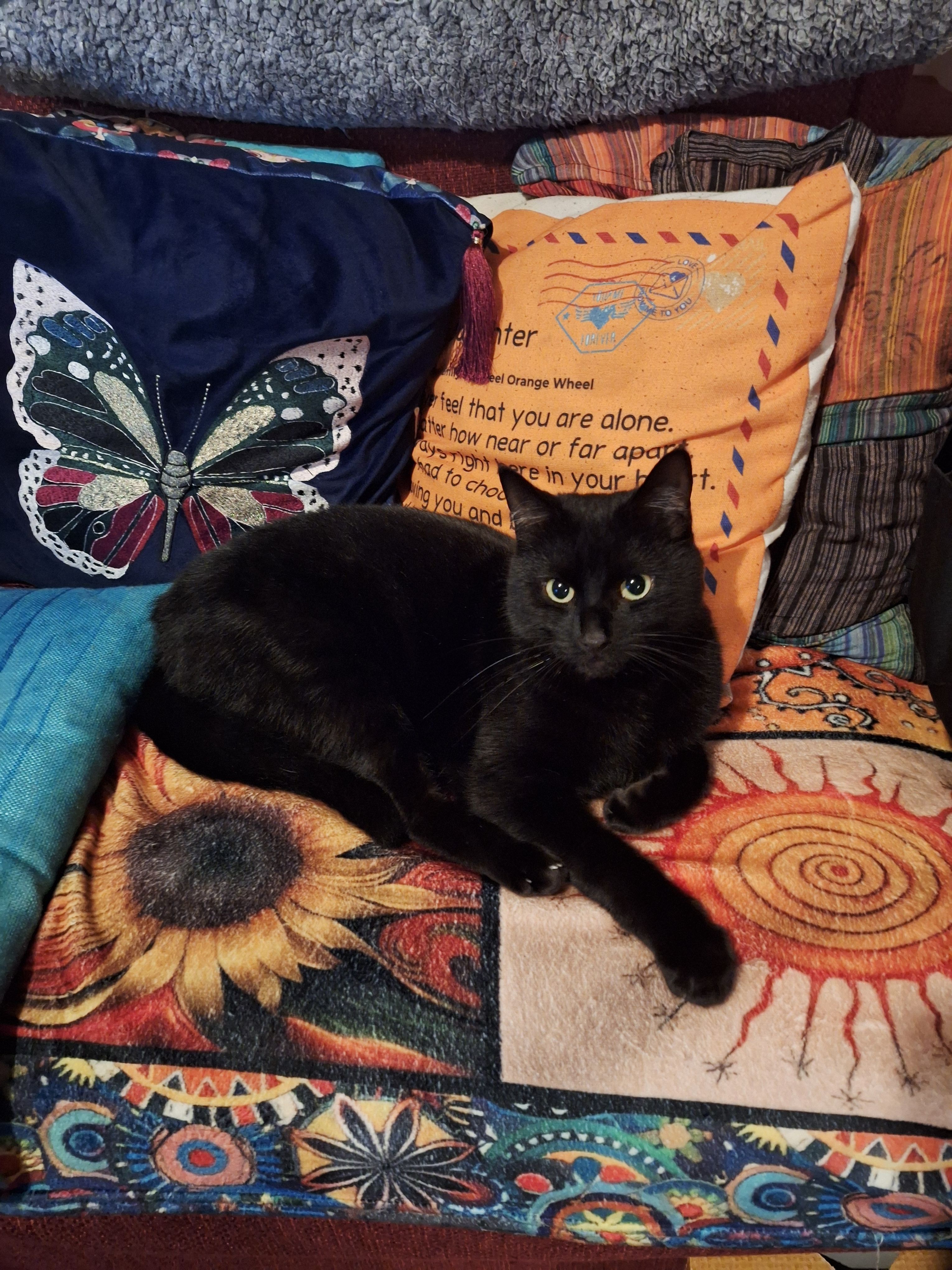 Draco - Worthing Street, Hull