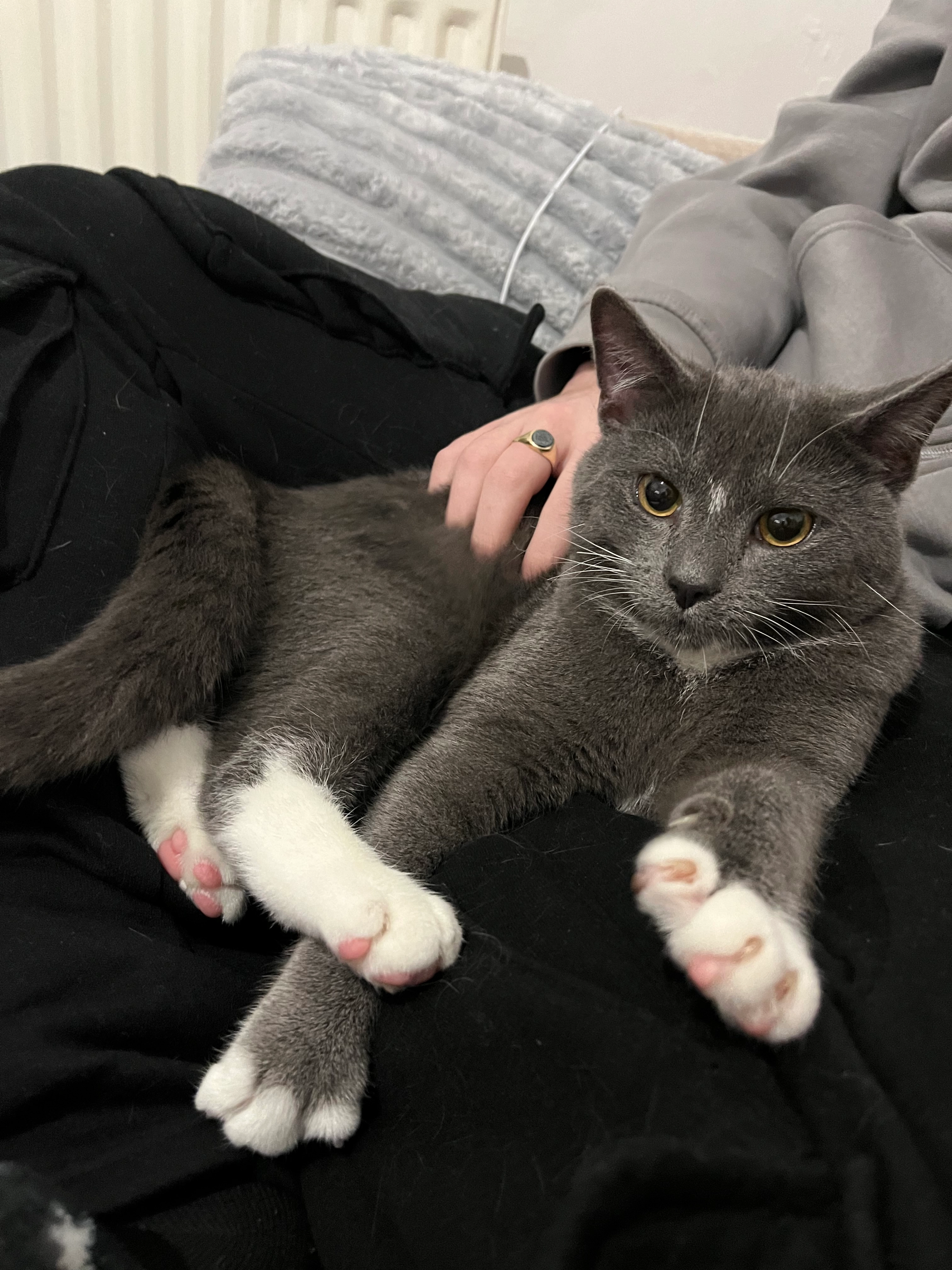 Bean - 18 Graham Street, Newport