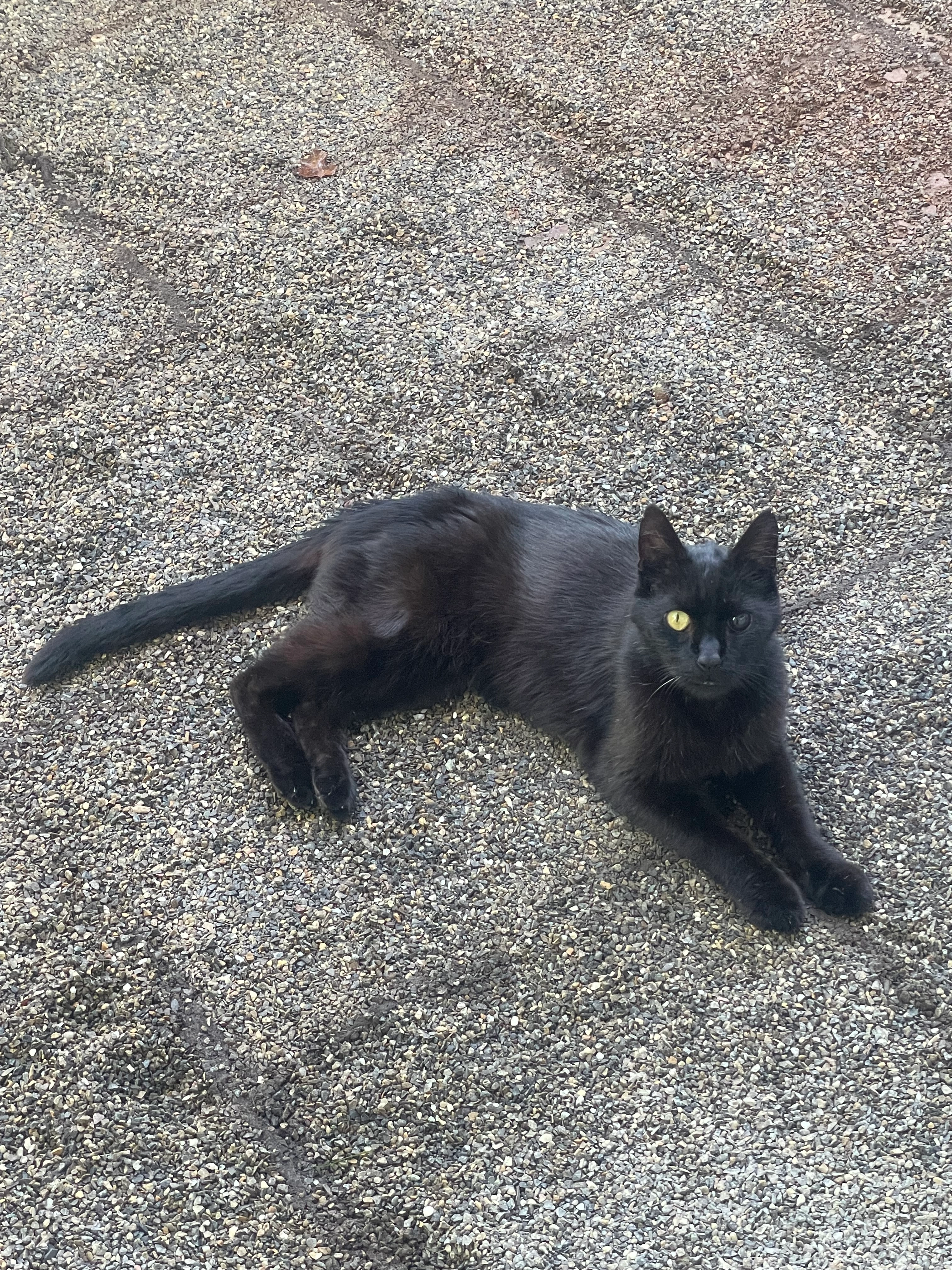 Blacky - Drosselweg, Villingen-Schwenningen