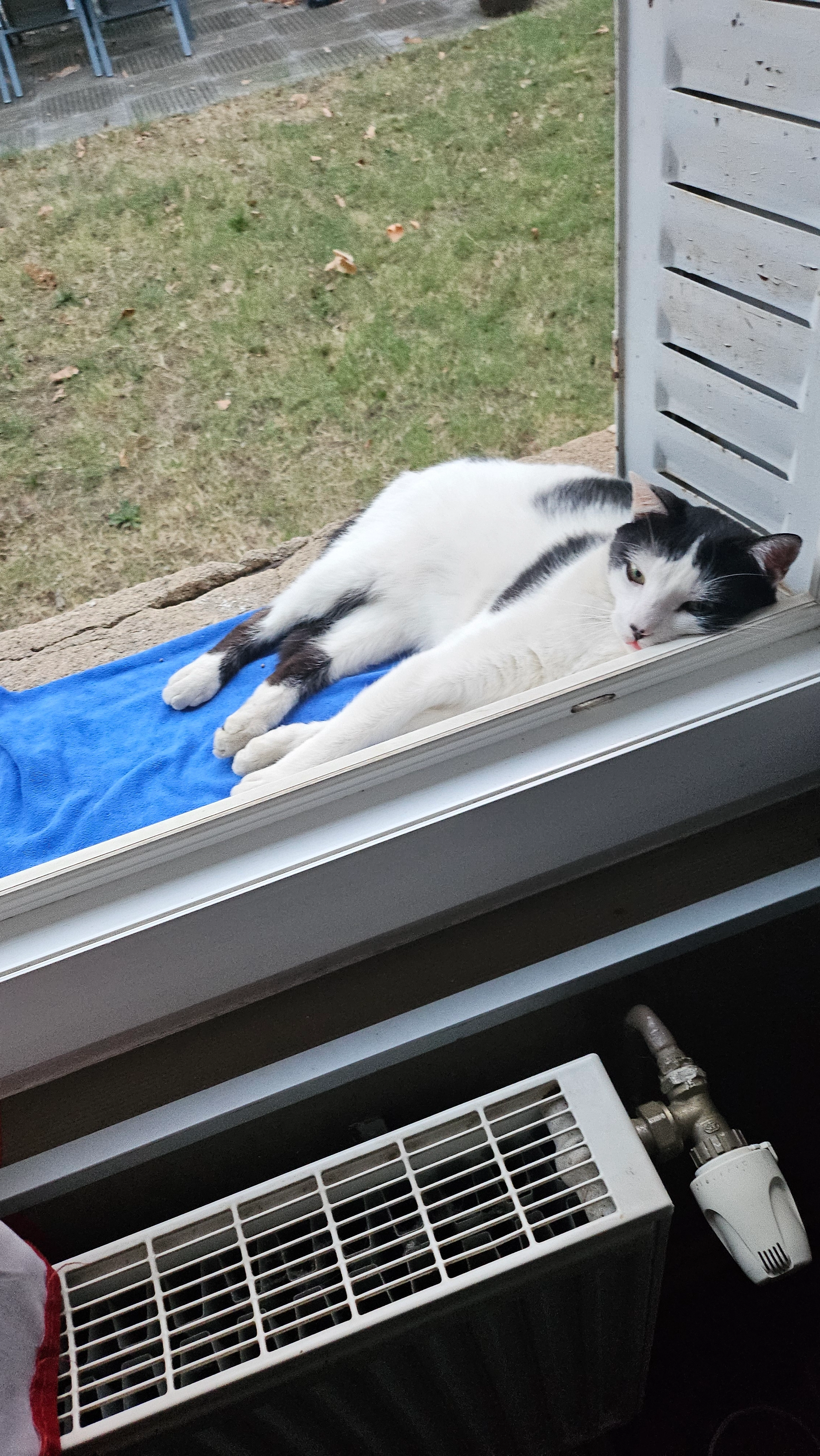 Percy - Rue du Lyonnais, Saint-Priest