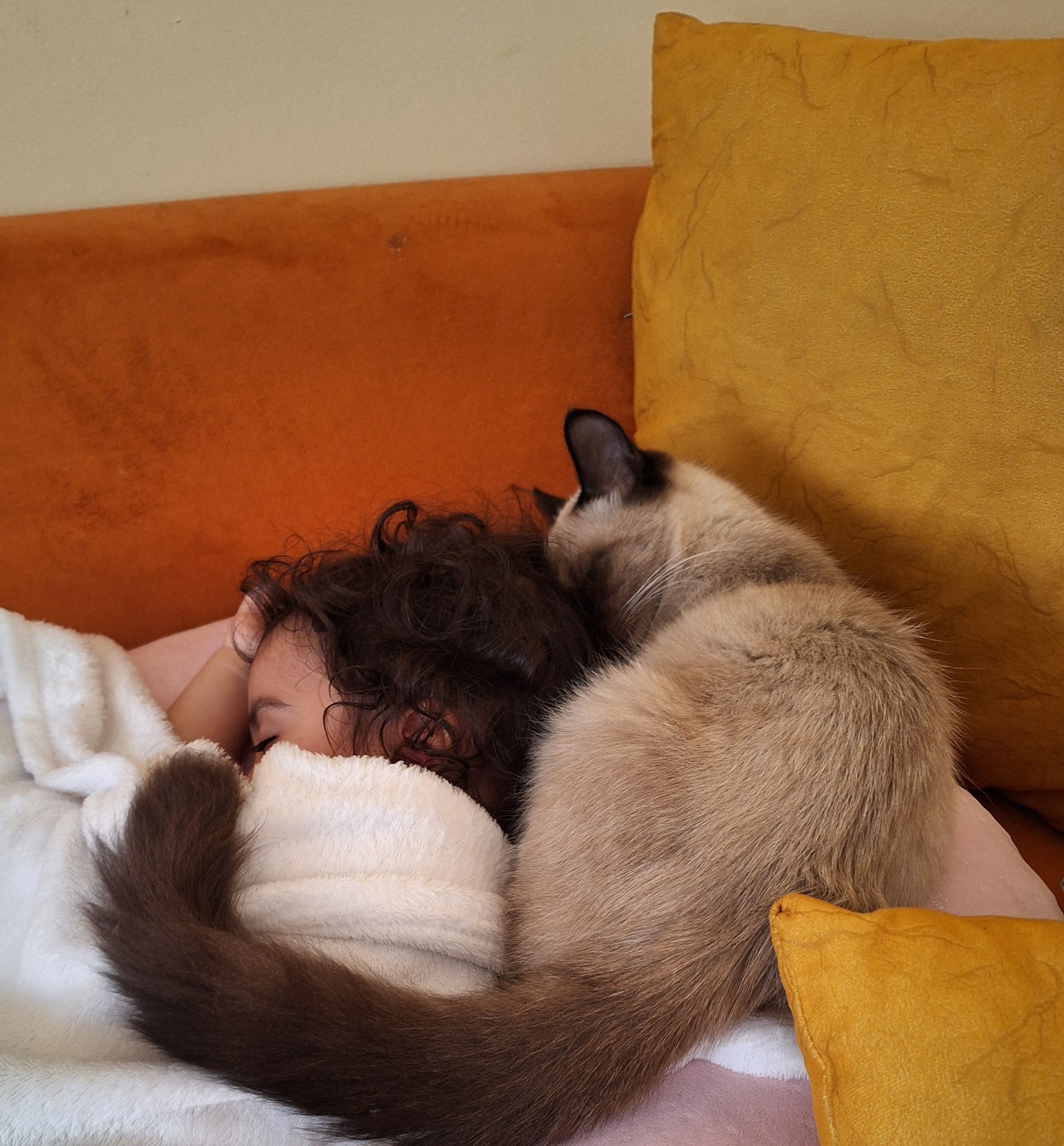 Spooky - 12, Témara