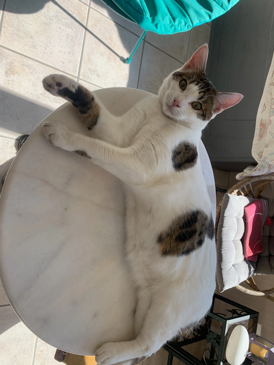 Zorro - Laraon, Pouldreuzic