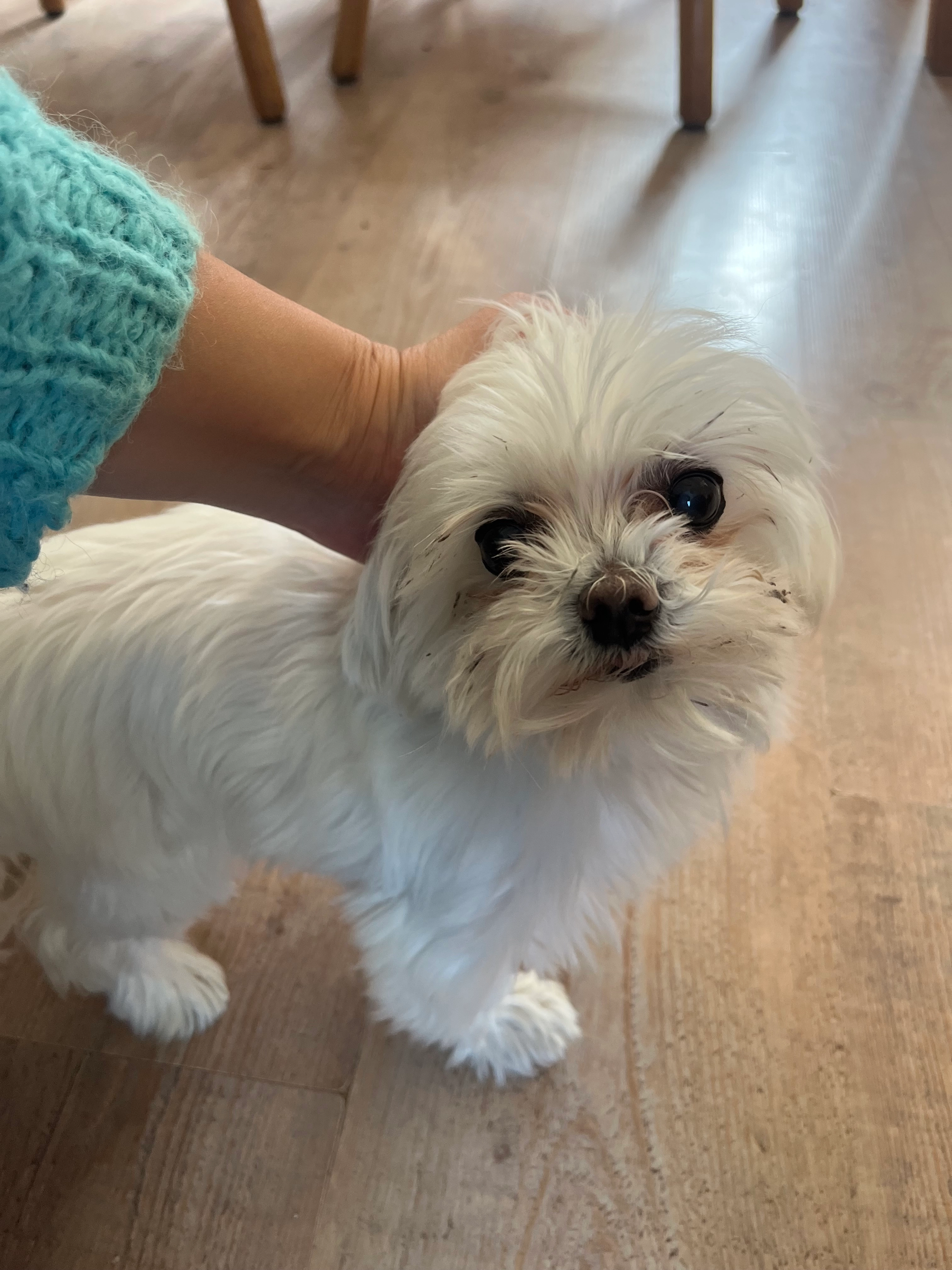 Kiki - Maanstraat, Amsterdam