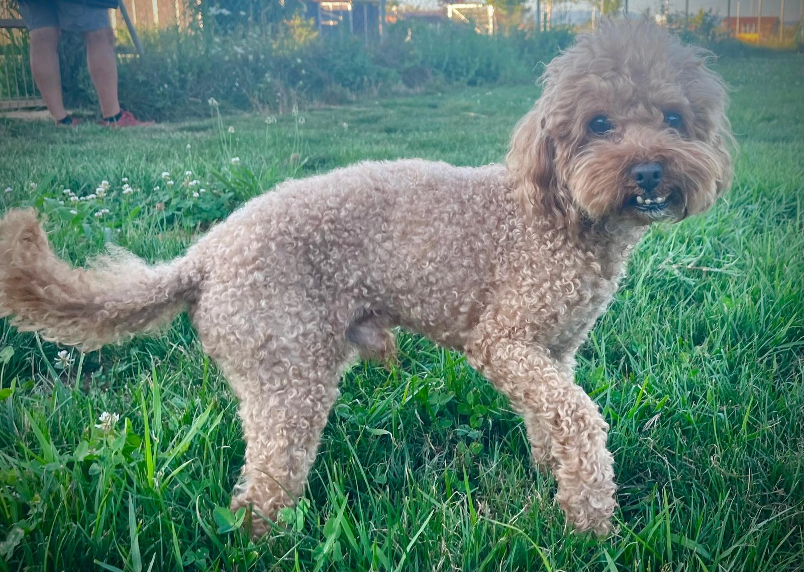 Yako - Calle Arco Iris, Ponferrada