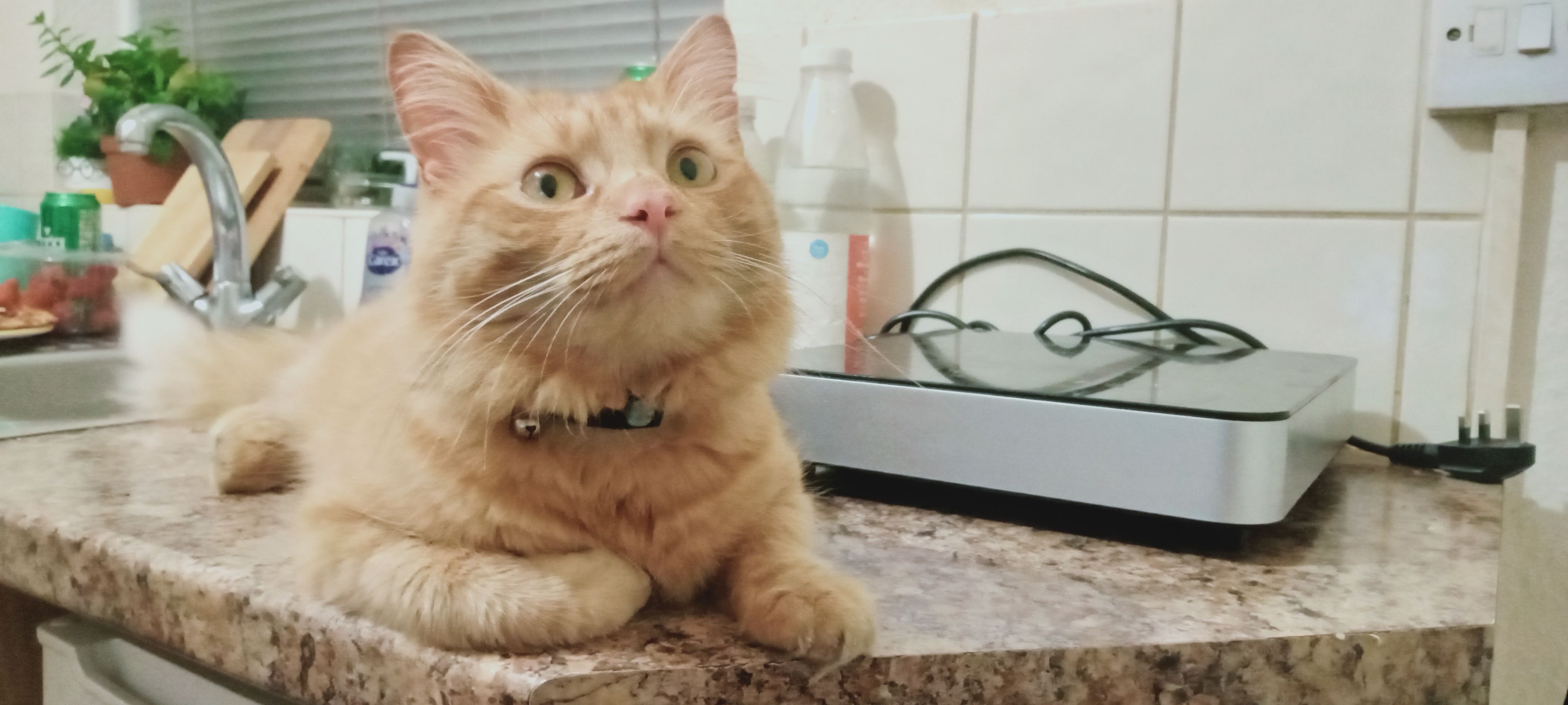 Jesse - London Road, Boston