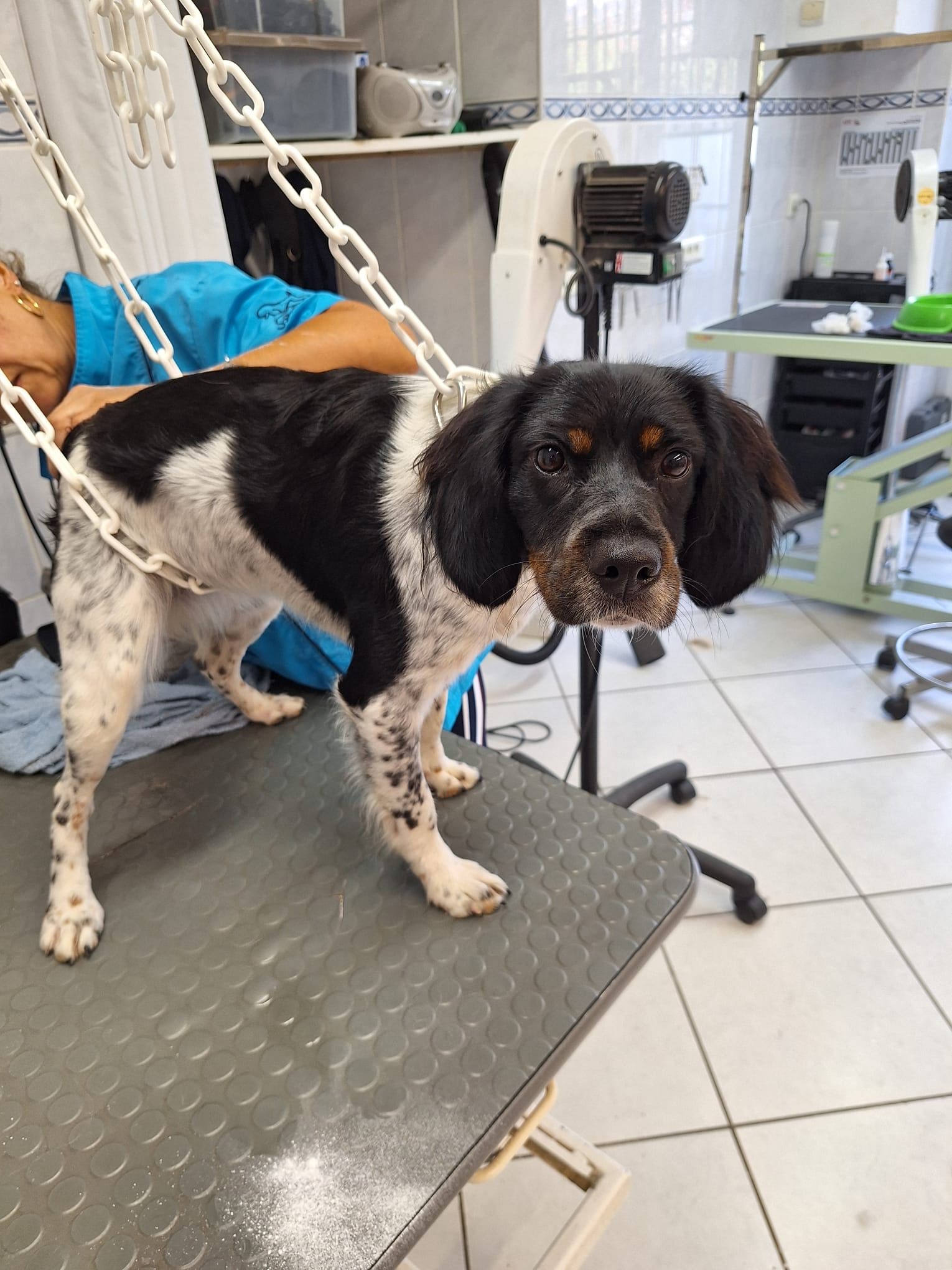 Uki - 29 Rue Saint-Melaine, Rennes