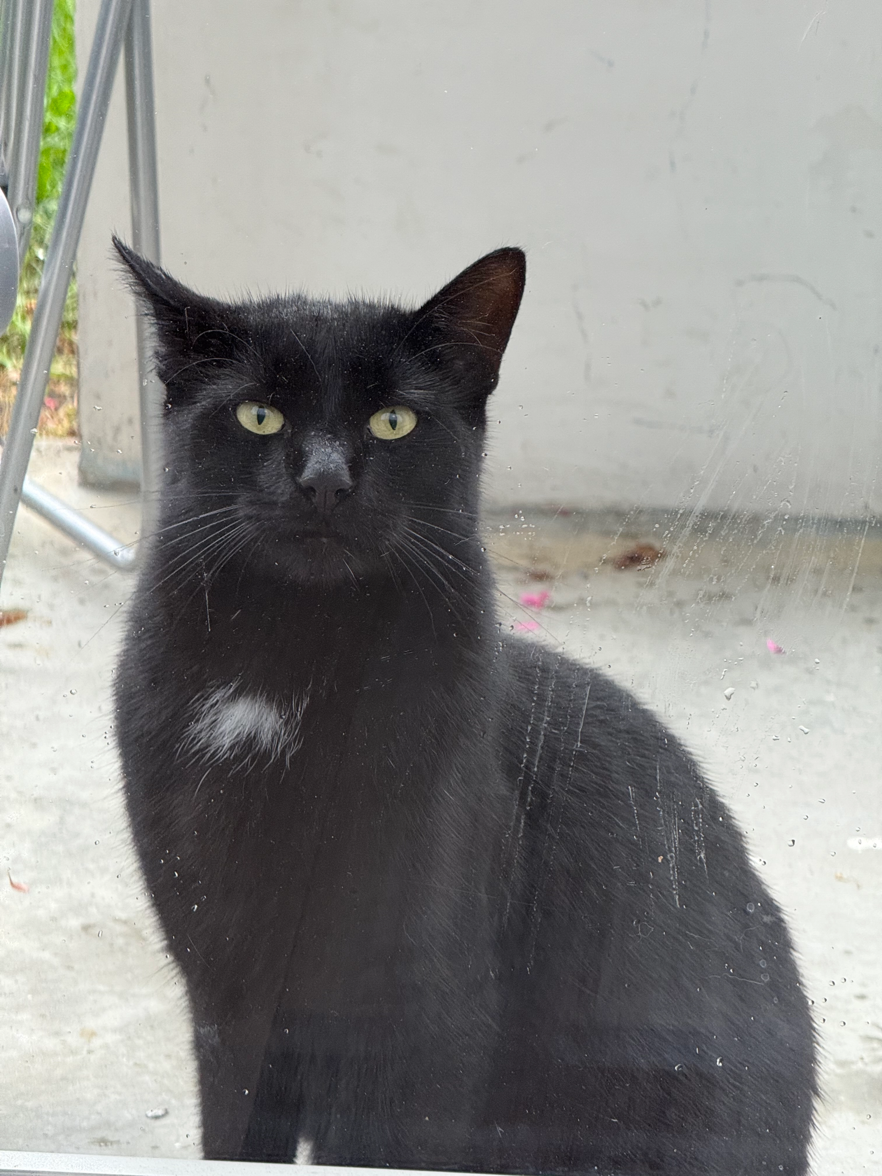 Weiss ich nixht ist nicht unsere - Brunnenstraße, Augsburg