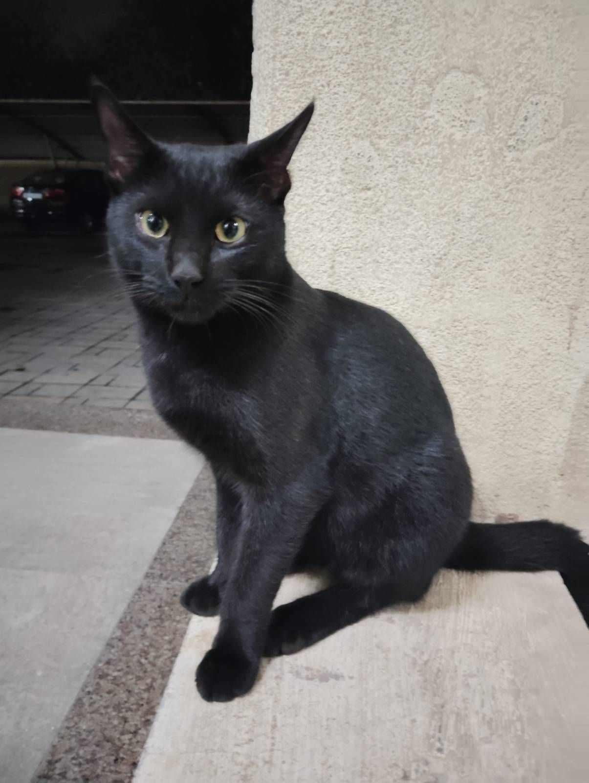 Krishna  - Laxmi Nagar Road, Parvati