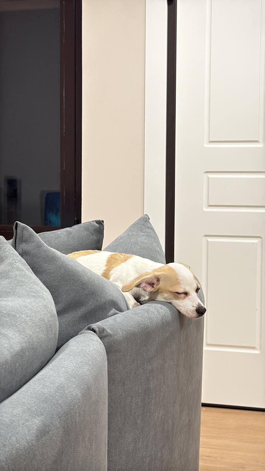 Apolo - Paseo de Farnesio 37, Valladolid