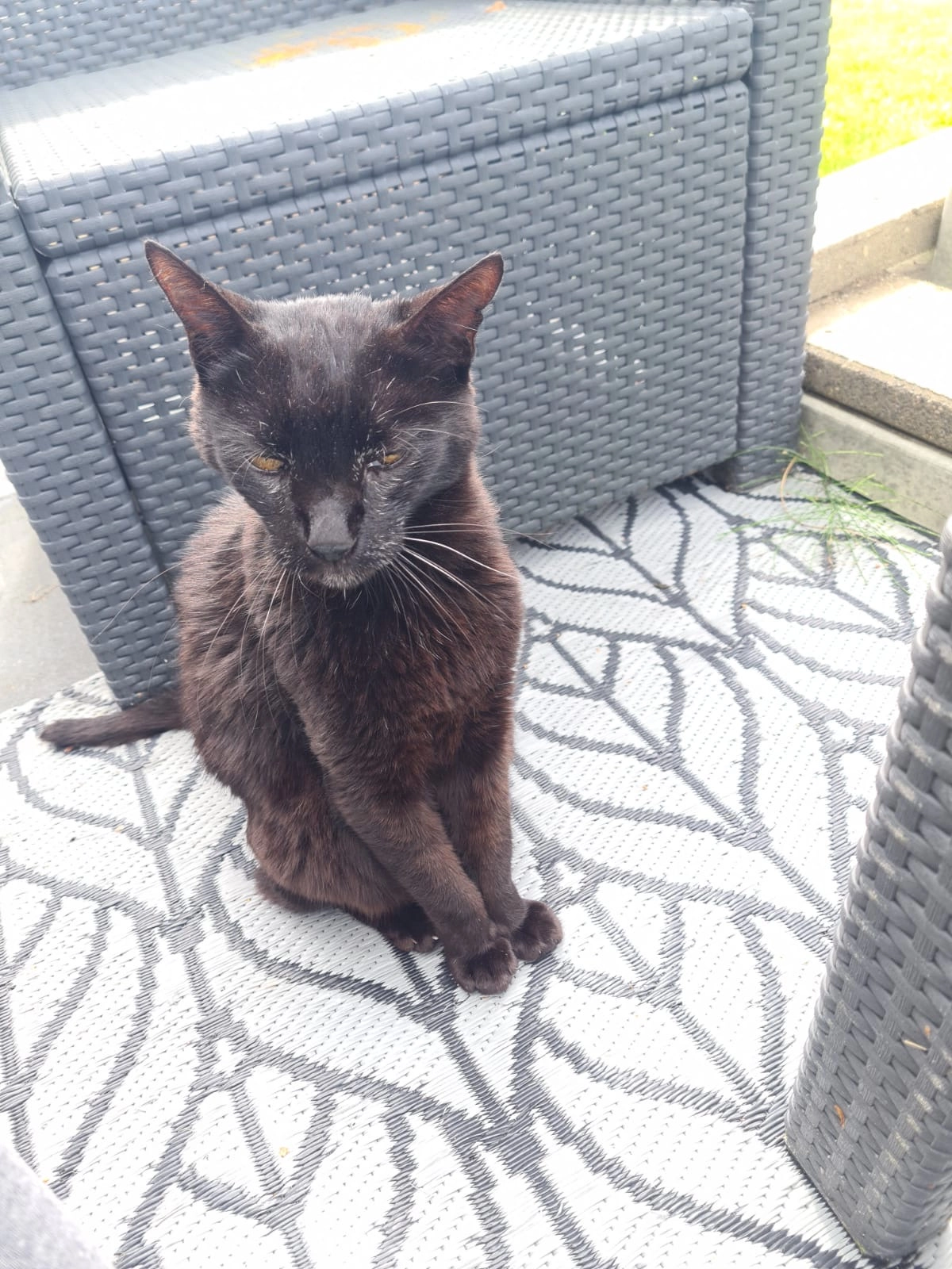 Dushi - G.P. Beukemalaan, Grootegast