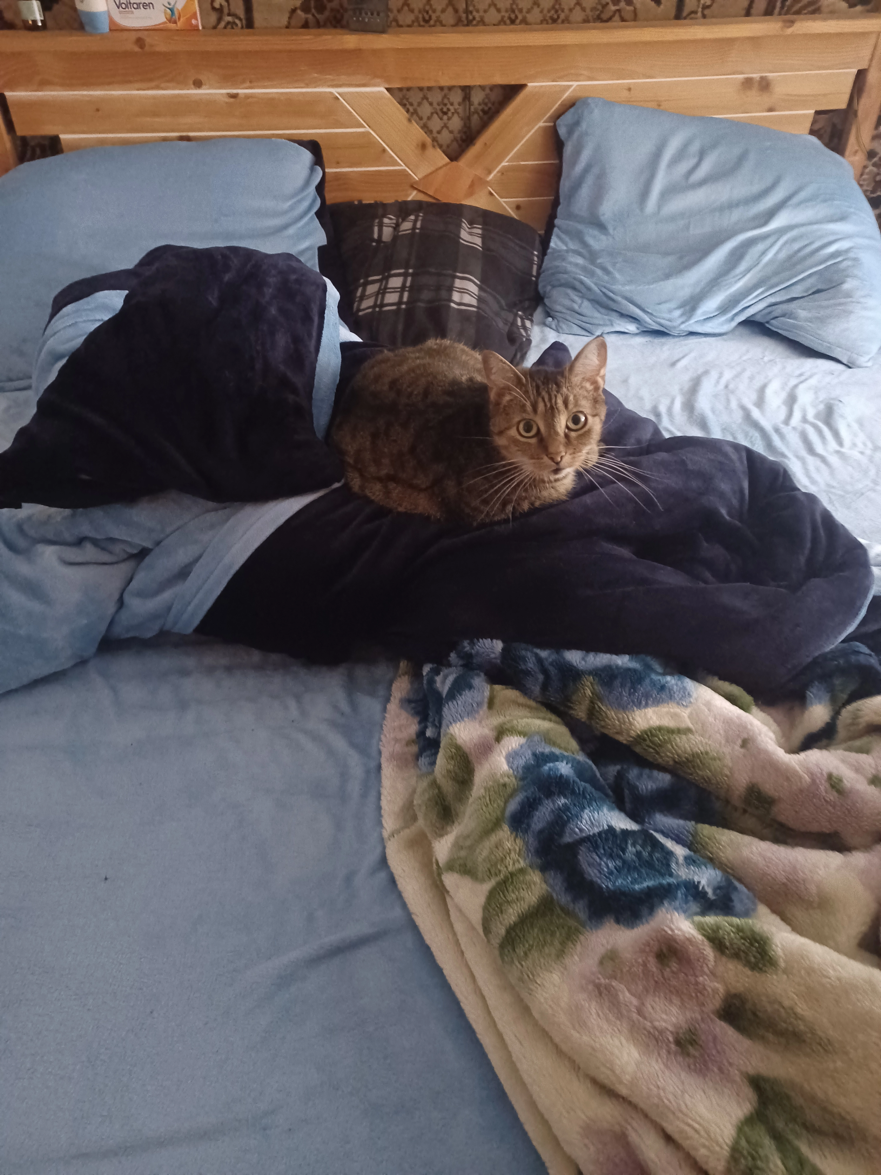 Bela - Quintusstraße, Walsrode