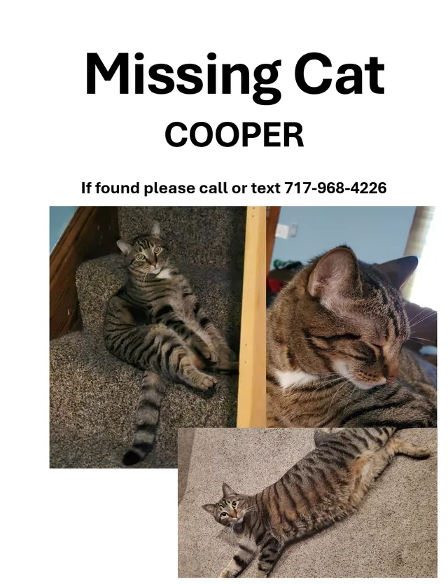Cooper - North Albemarle Street, York