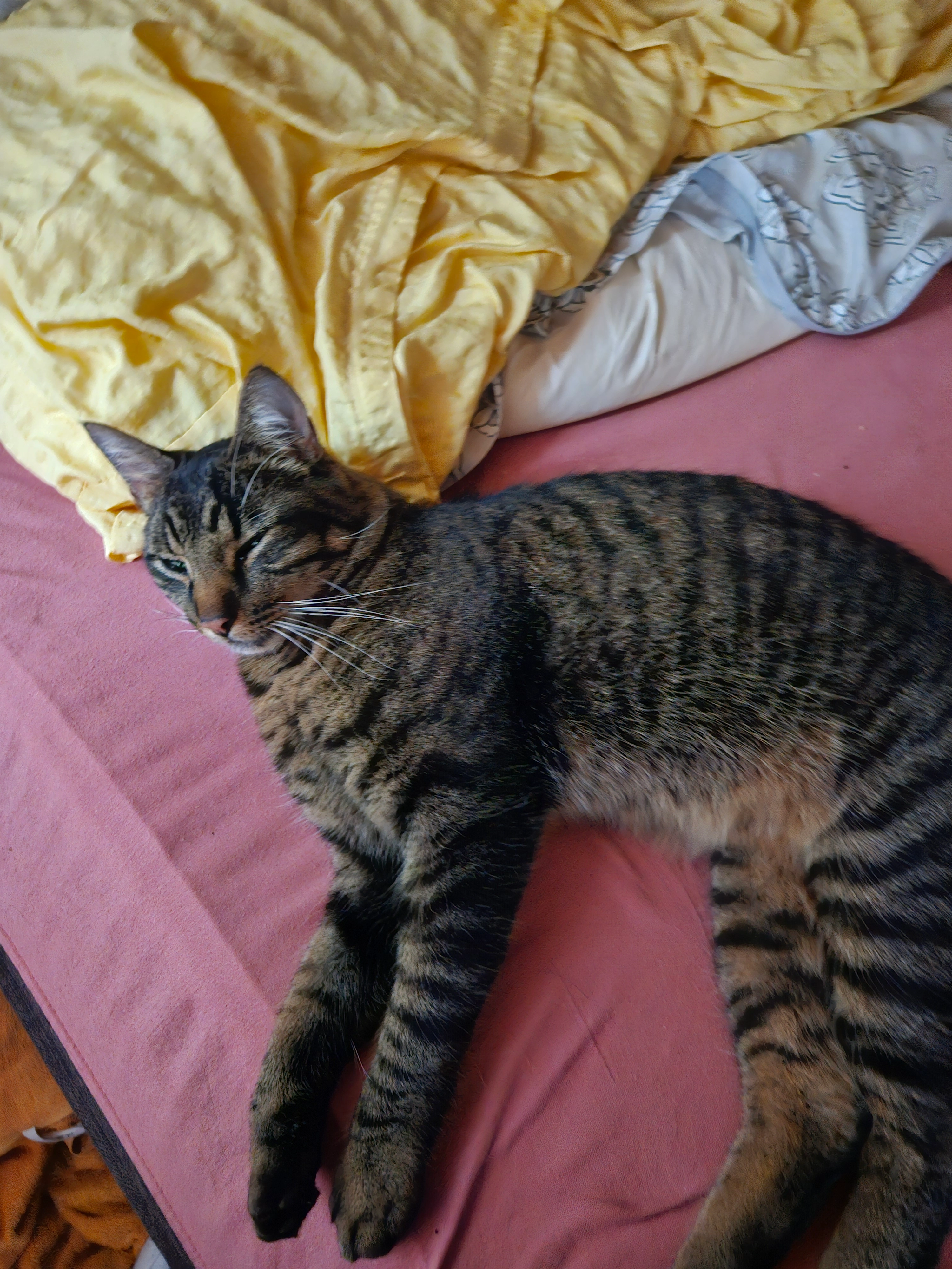 Muri - Steinerstrasse 45, Ossingen