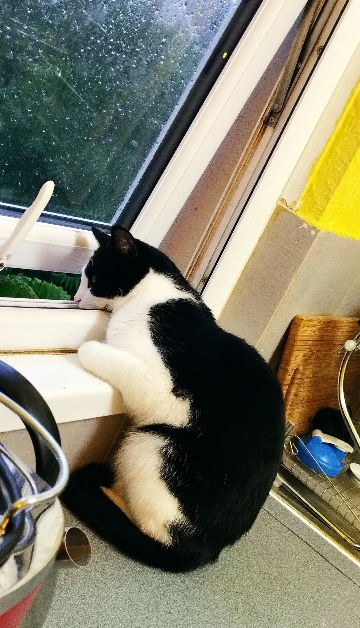 Sunny - улица Христо Ботев, Стара Загора