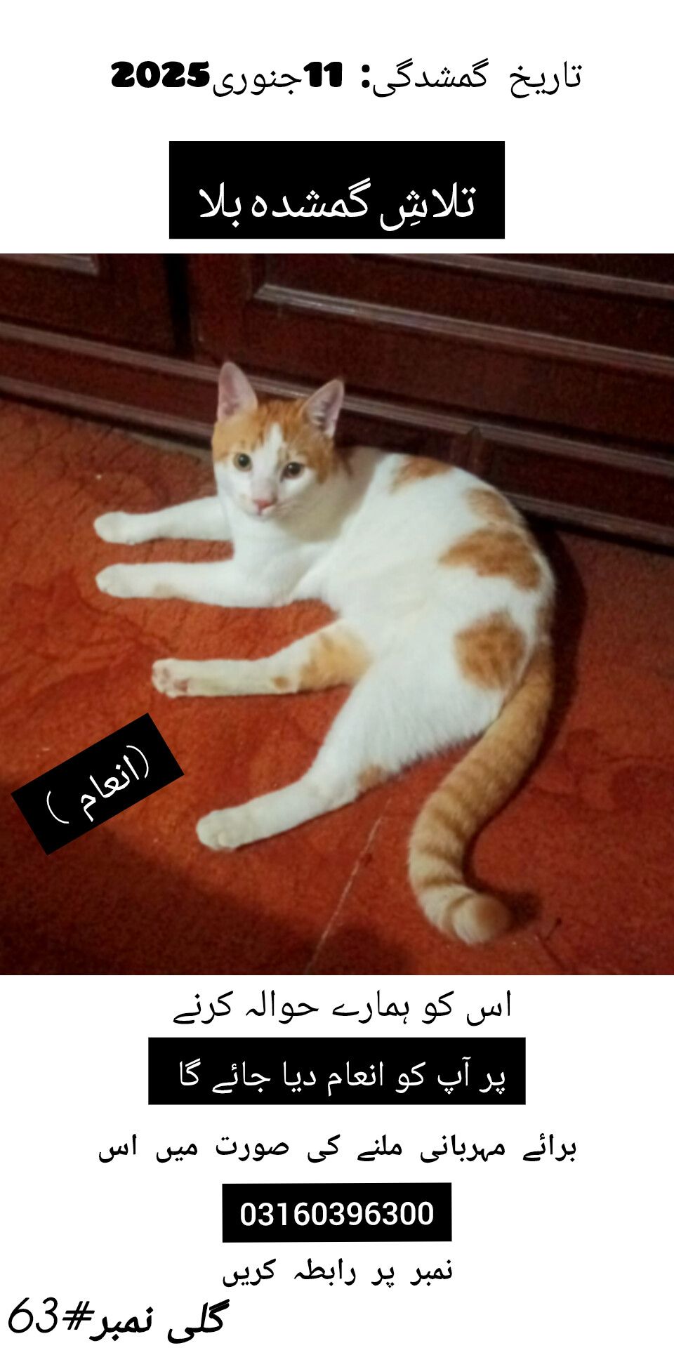 Ladu - Site, Karachi