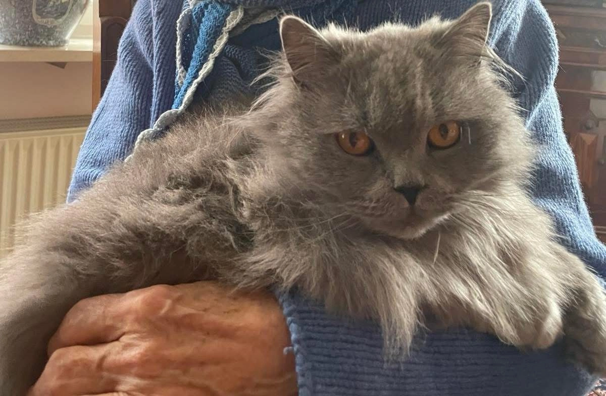 Lino  - Rochusstraße 20, Gauting