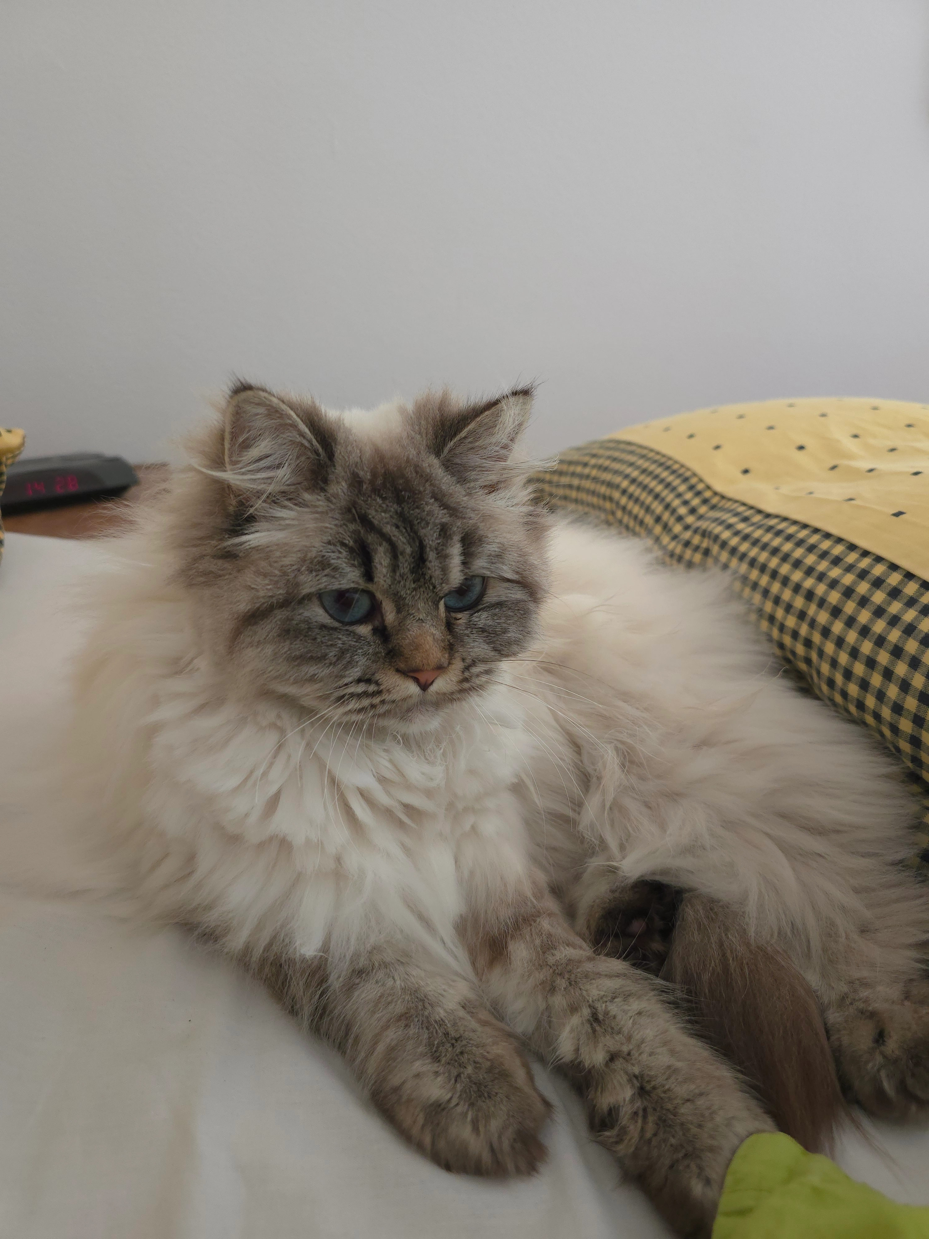 Cici - Lerchenweg, Unterpleichfeld