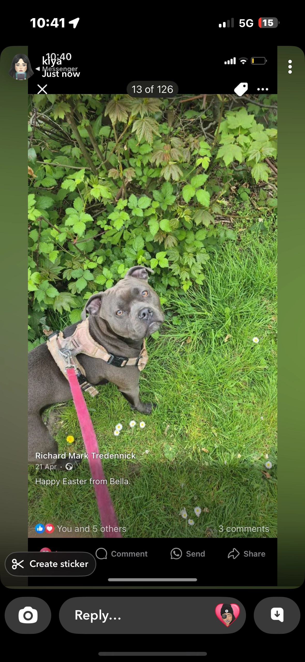 Bella - 10A Cargate Grove, Aldershot