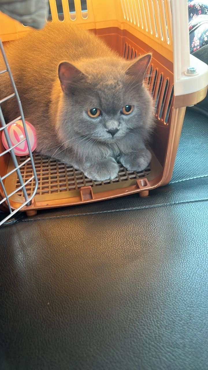 Milo - Jalan Batu Unjur 1, Klang