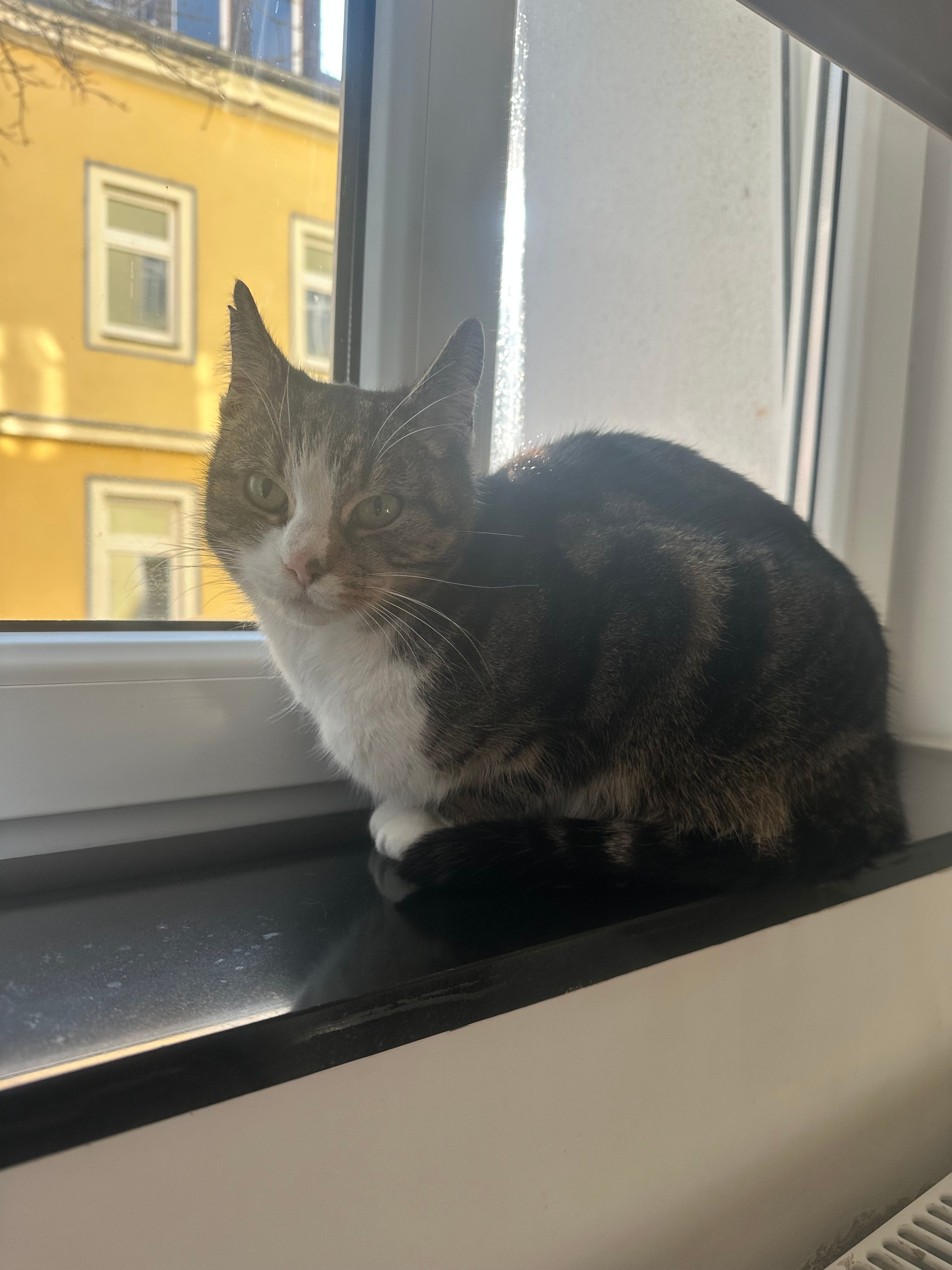 Annet - 01662, Meißen