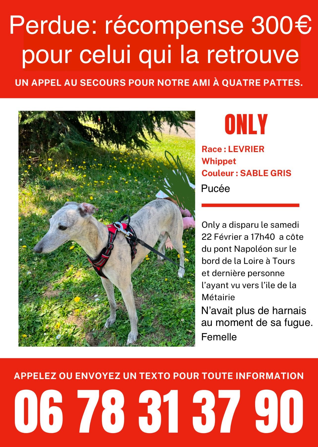 Only - L'Île de la Métairie, La Ville-aux-Dames