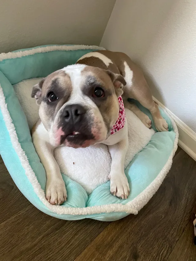 Cleo - 92551, Moreno Valley