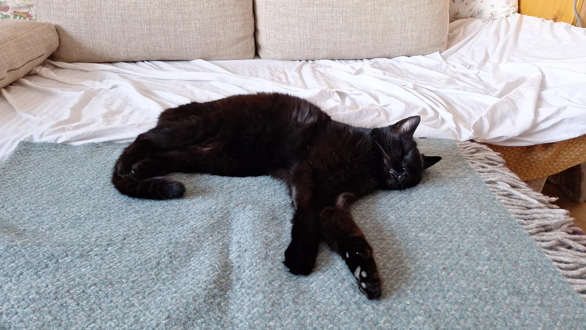 Luna - Pöhlser Straße 12, Heilshoop