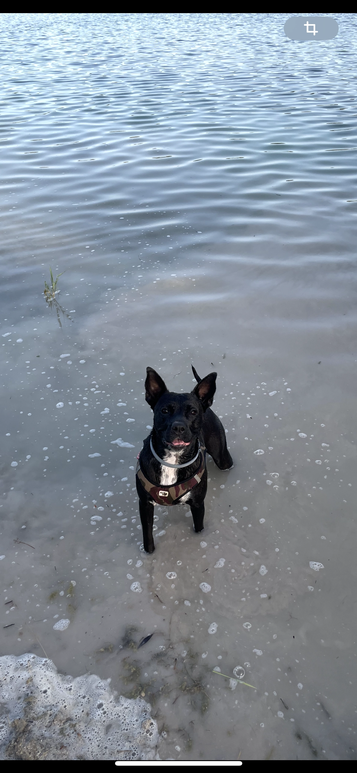 Kyrra - Prolongement De L'a12, Coignières