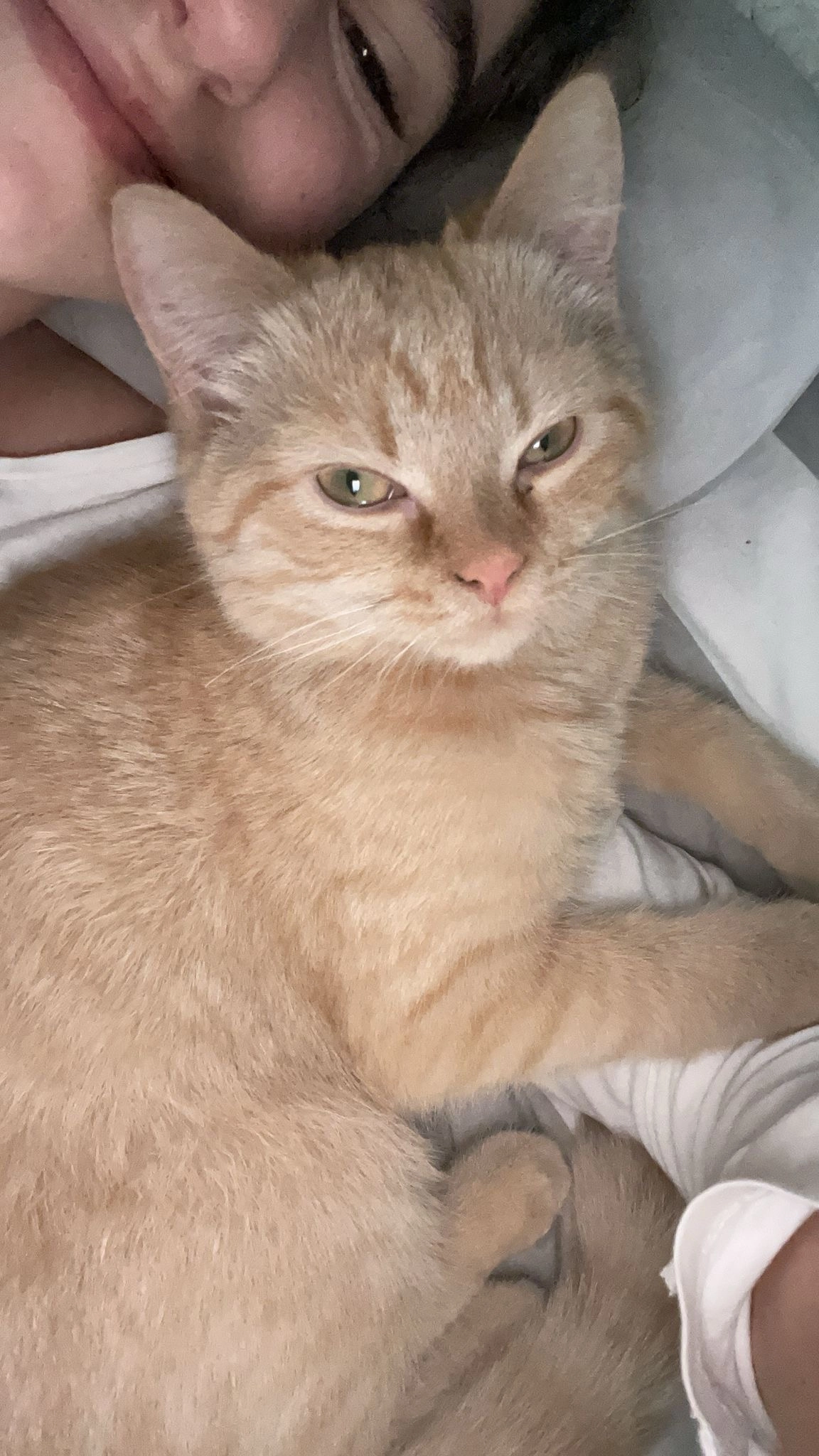 Ruski - Calle Fernando Álvarez De Miranda, Palencia