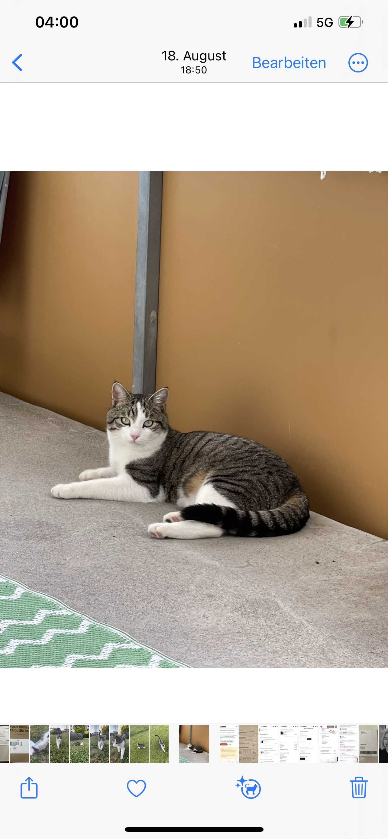 Kitmir - Widenacherstrasse 2, Hedingen