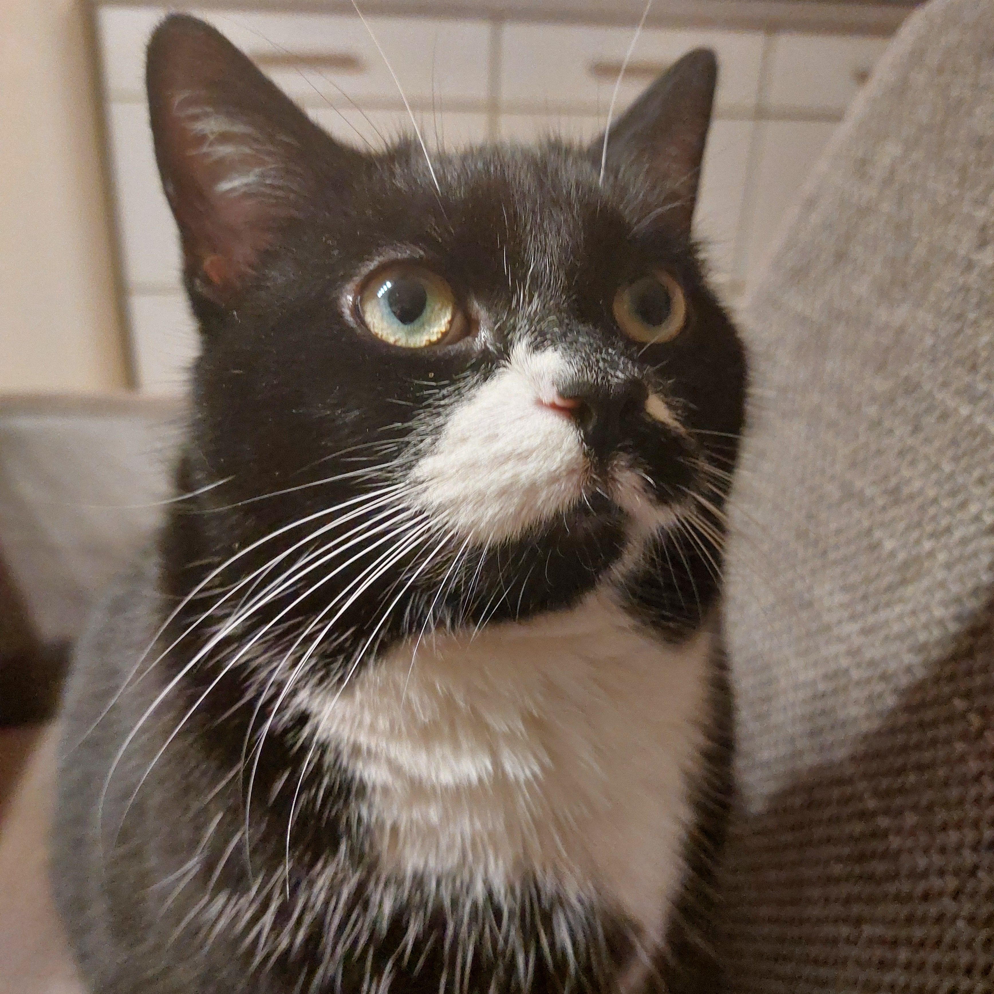 luna - Bonnusstraße, Quakenbrück