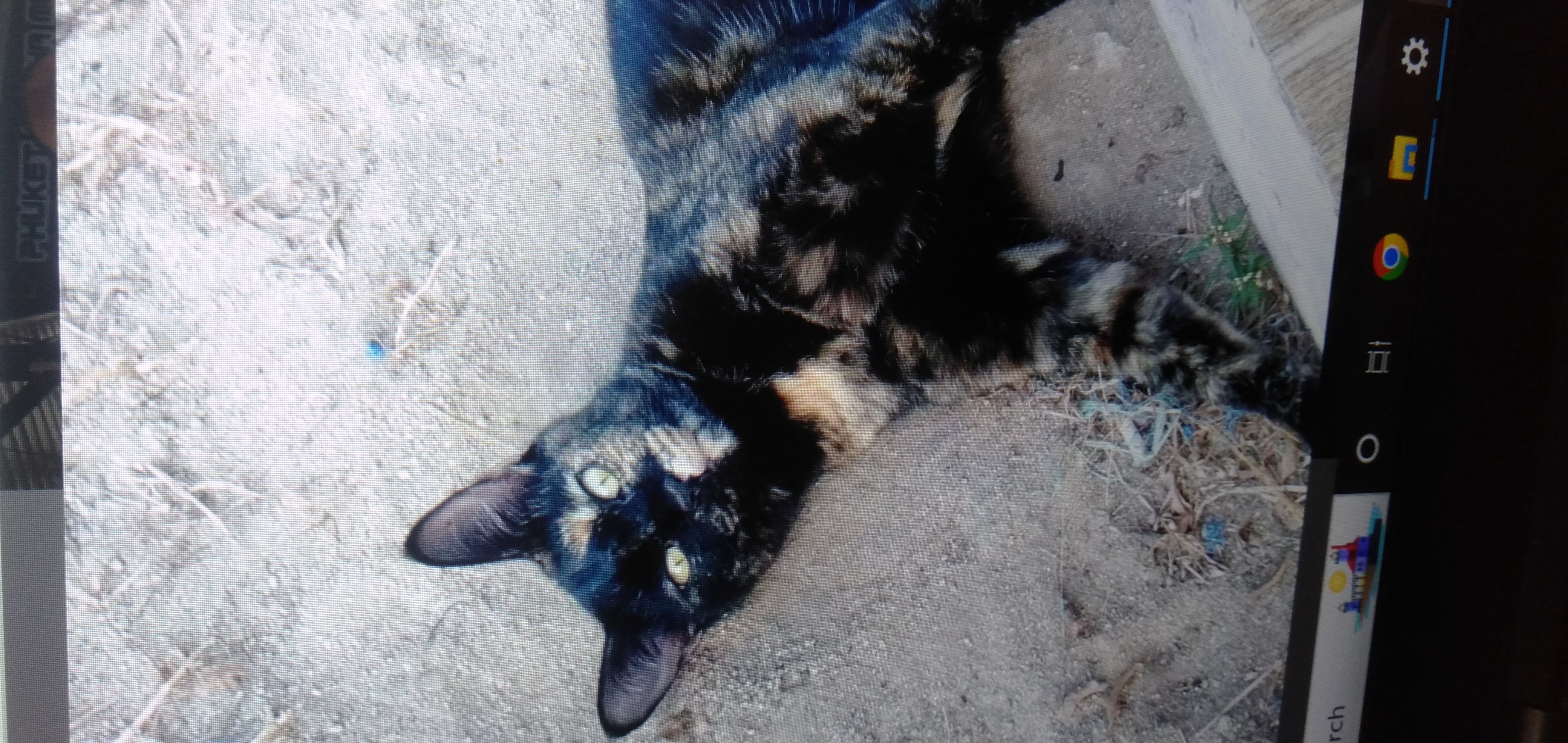 Lina - Thanon Chao Fah Tawan Ok, Mueang Phuket